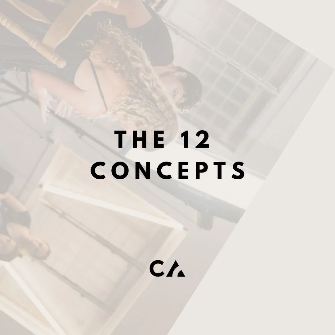 The 12 Concepts.jpg
