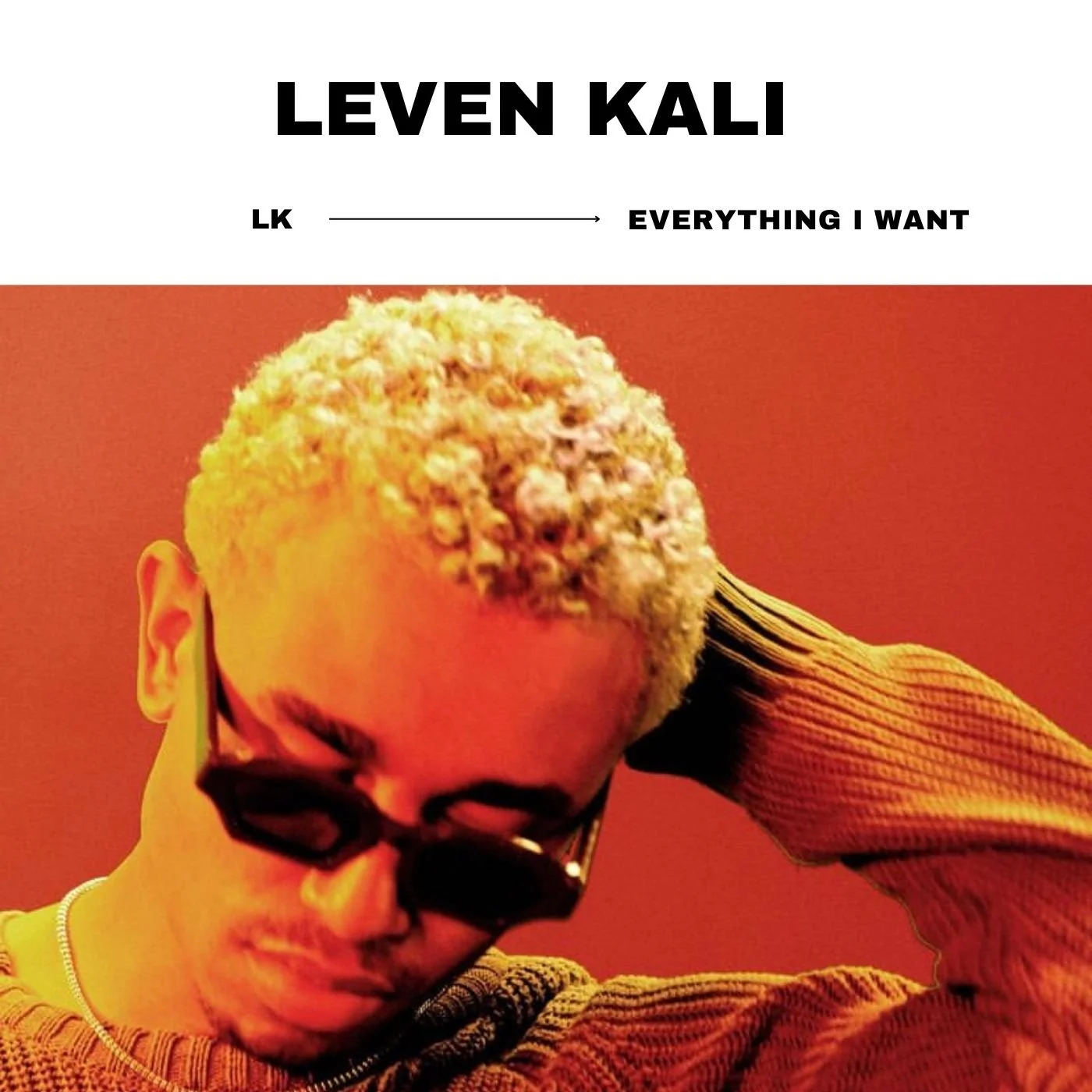 Everything I Want by Leven Kali