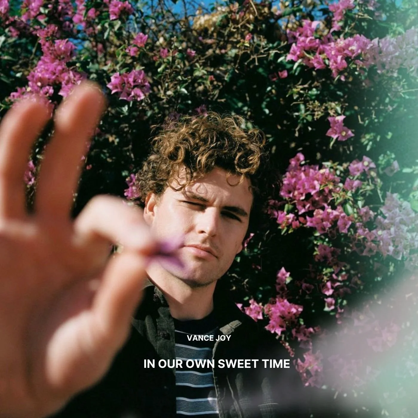In Our Own Sweet Time with Vance Joy