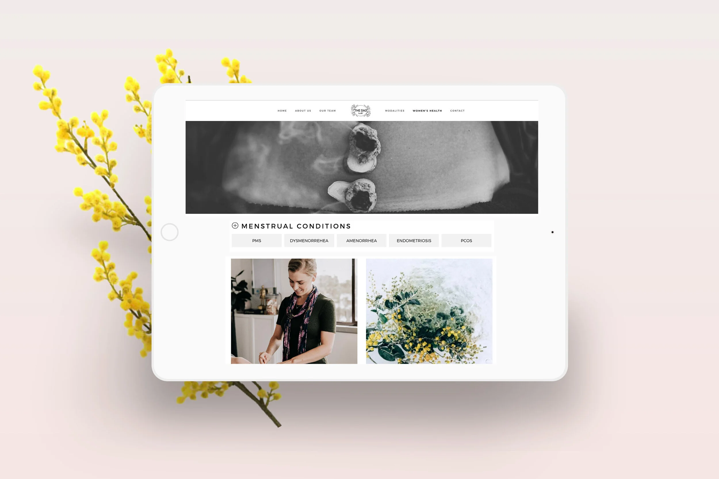 The Dao Health Caringbah - Culture Fox