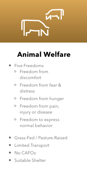 Screen Shot 2020-08-19 at 15.31.14.png