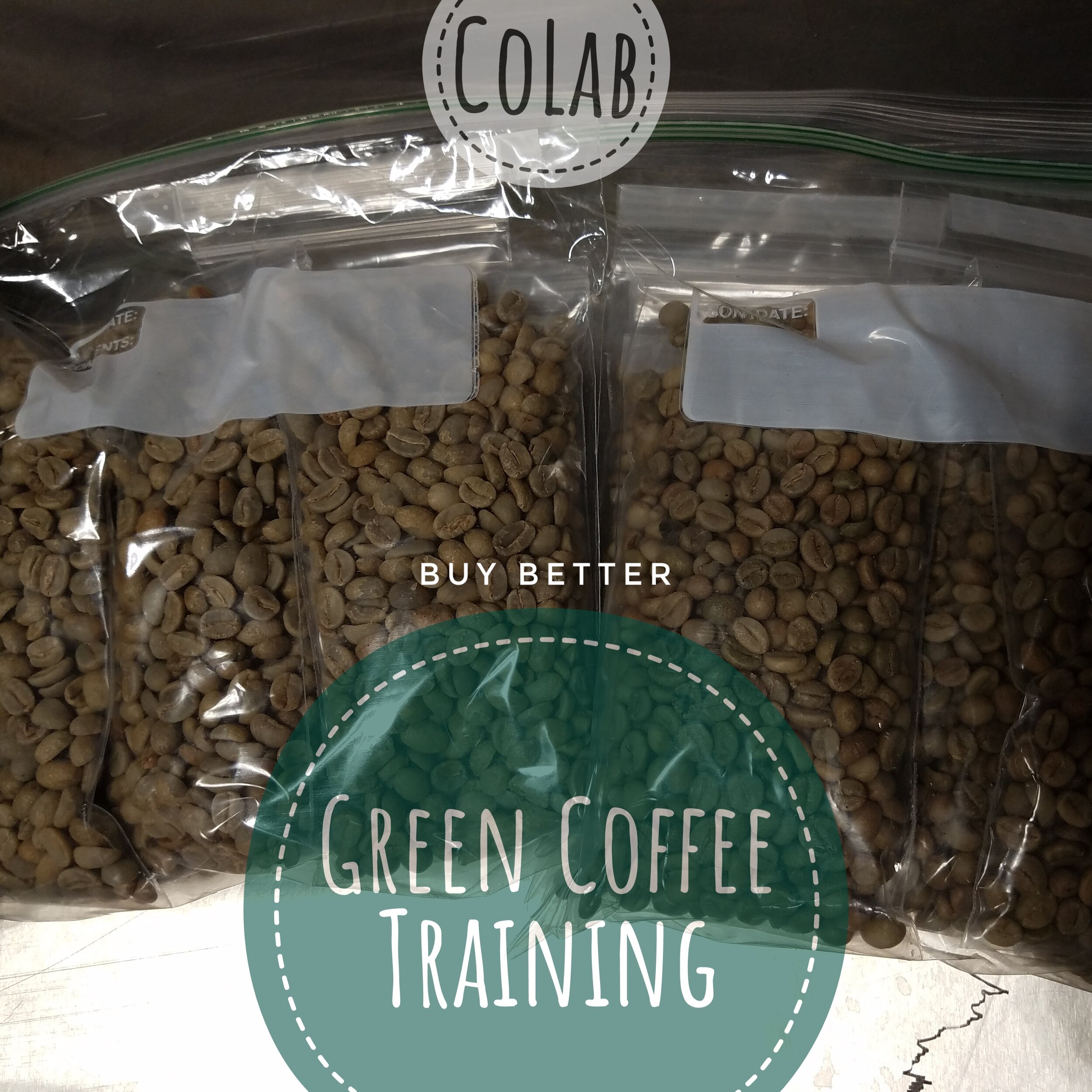 Green Training.jpeg