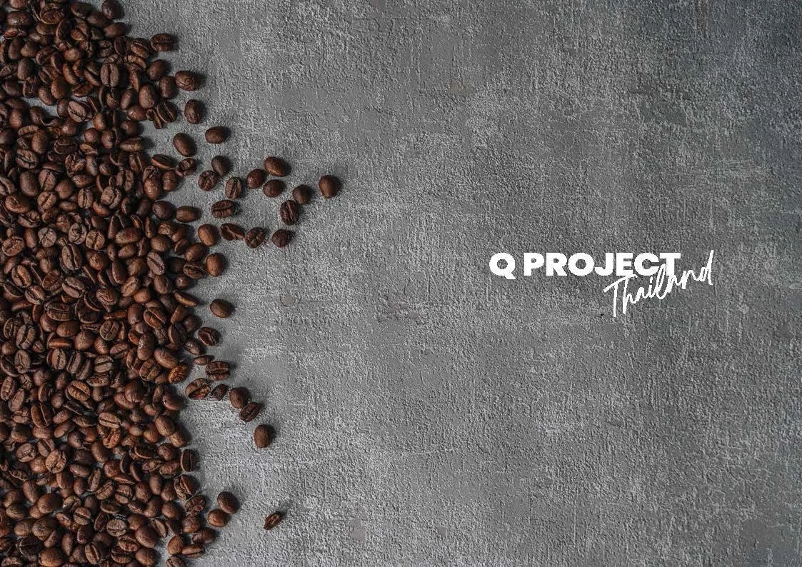 Q Project Thailand background.jpeg