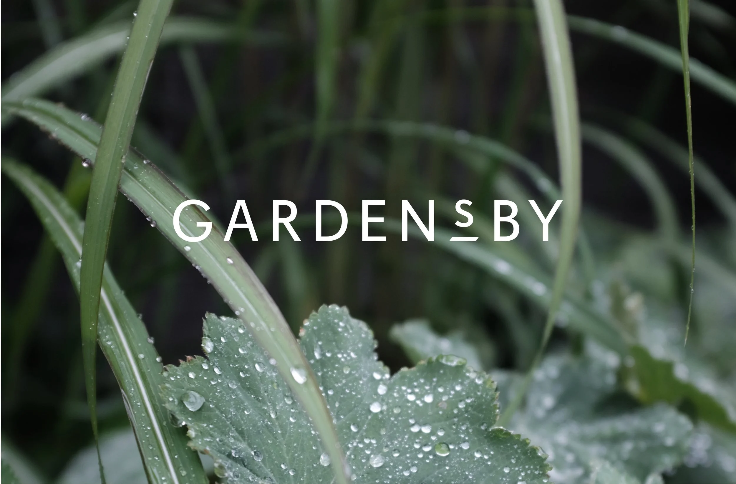 grønne konsepter.jpg