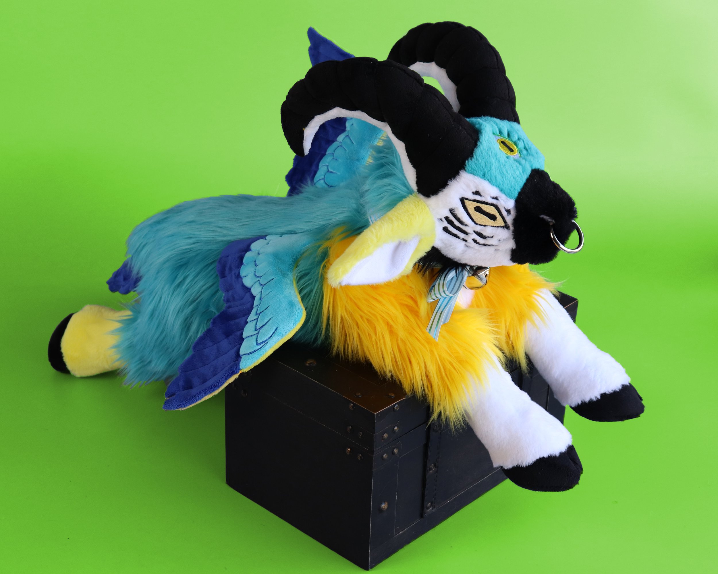 blue and gold macaw 1.jpeg