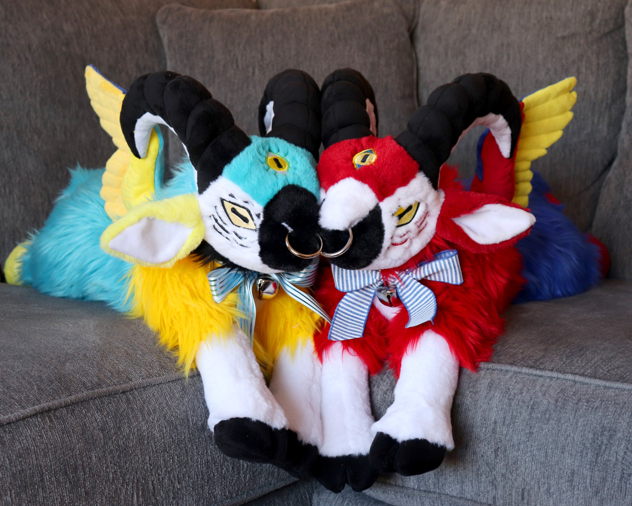 macaws.jpeg