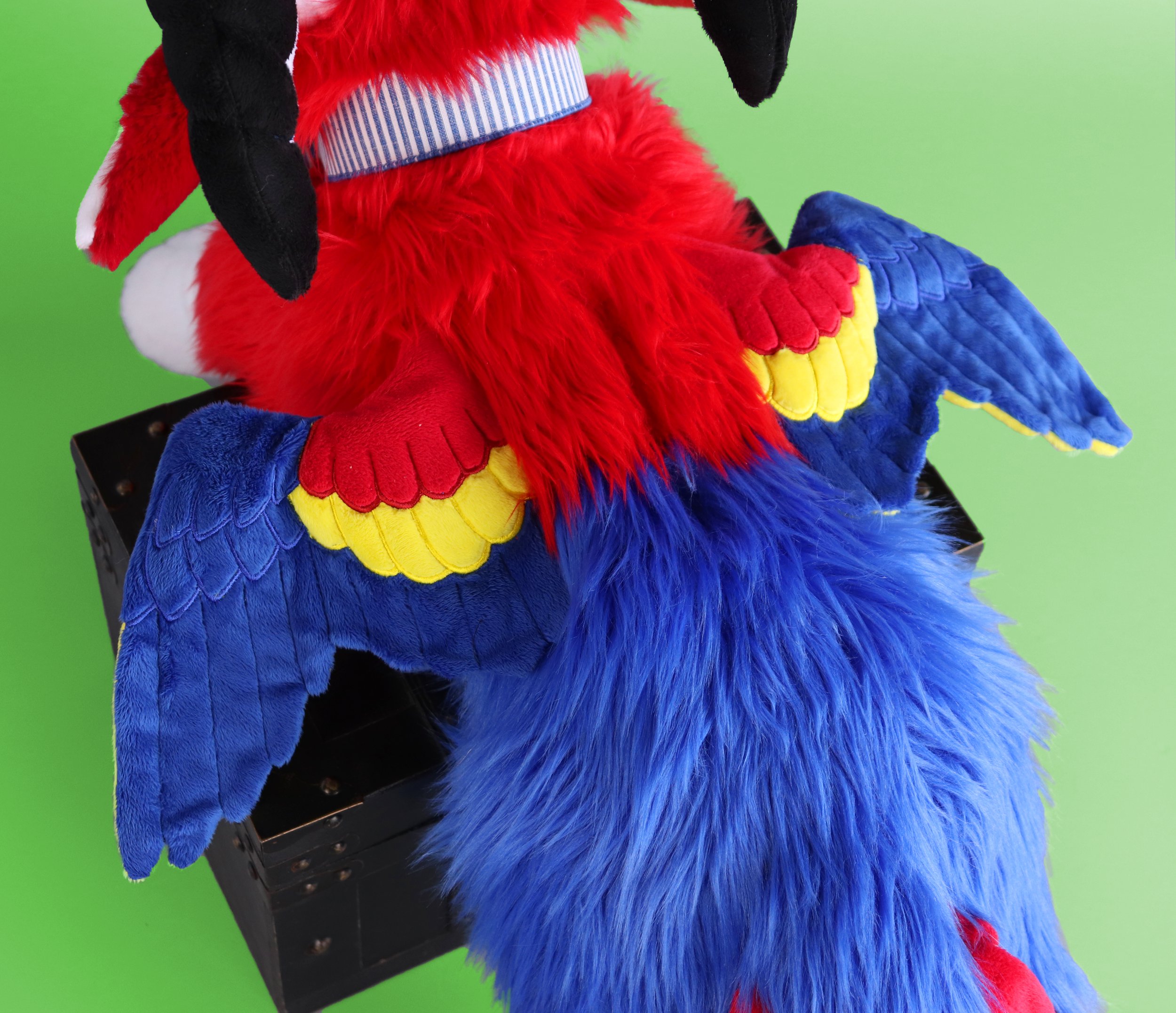 scarlet macaw 2.jpeg