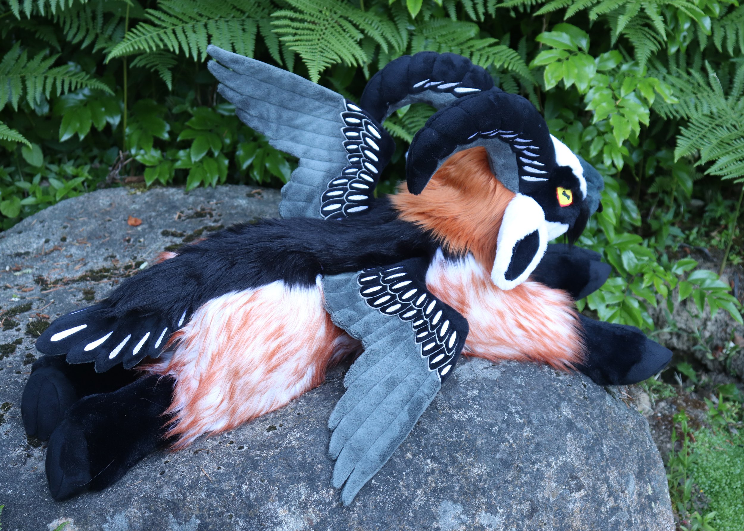bearded vulture 2.jpg