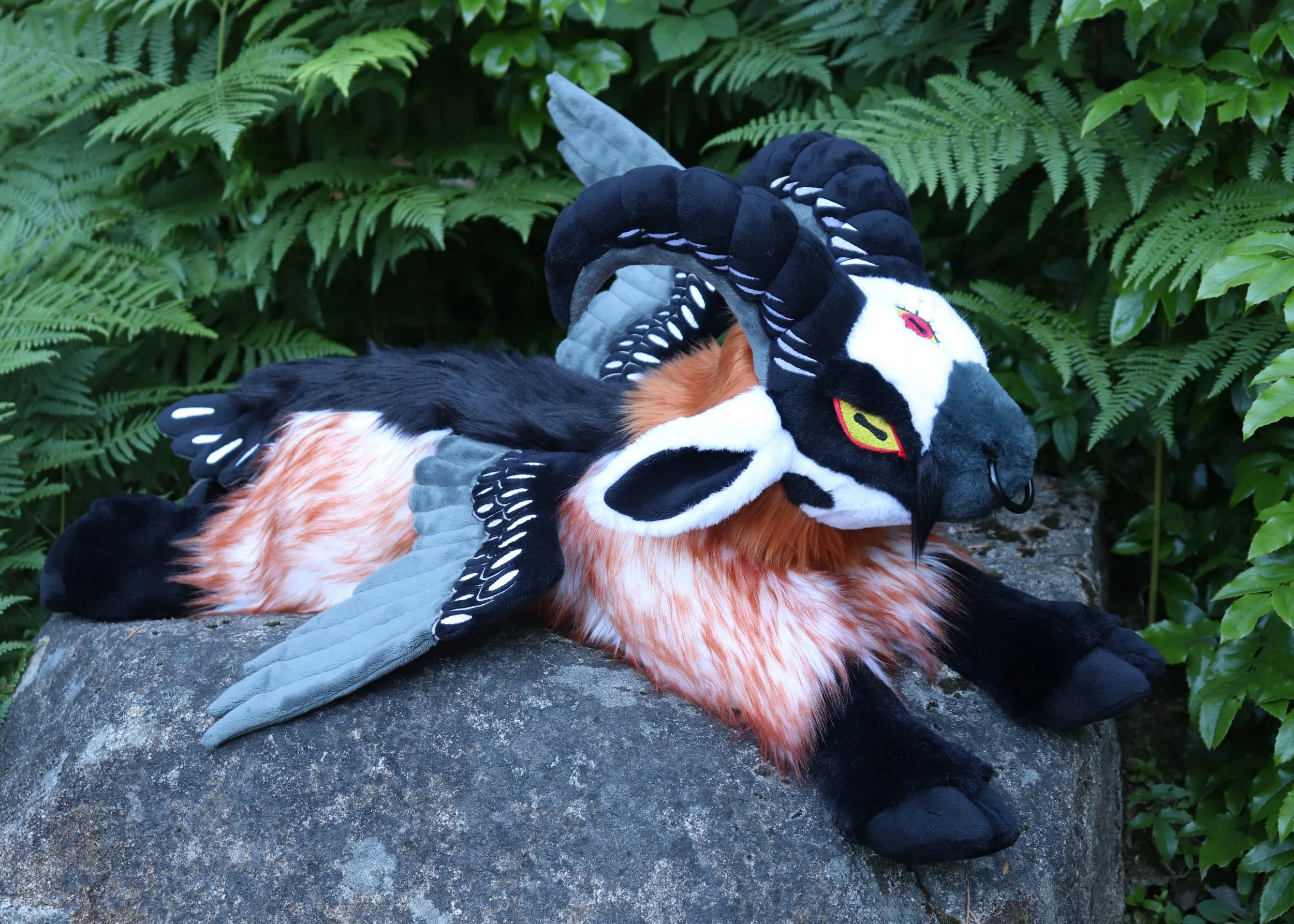 bearded vulture 1.jpg