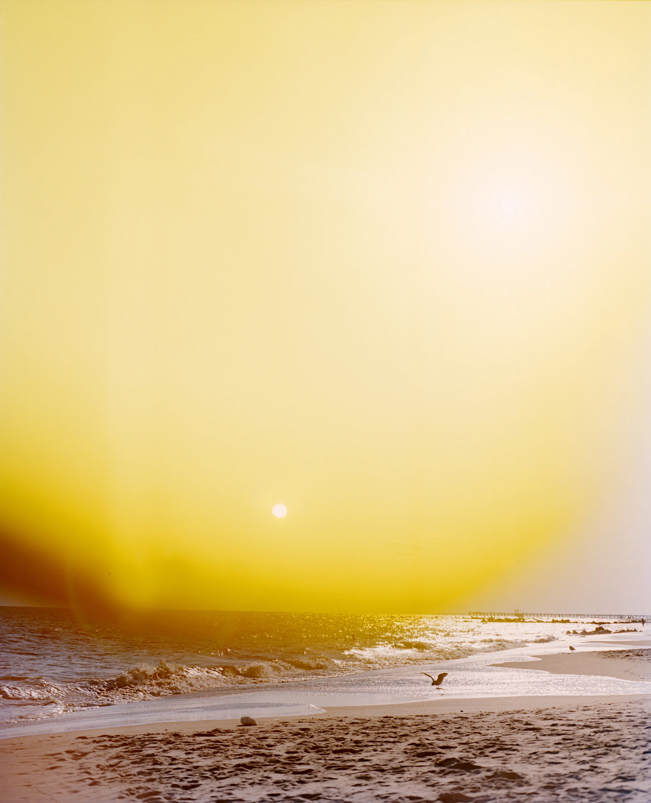 Untitled Memory_16x20.jpg