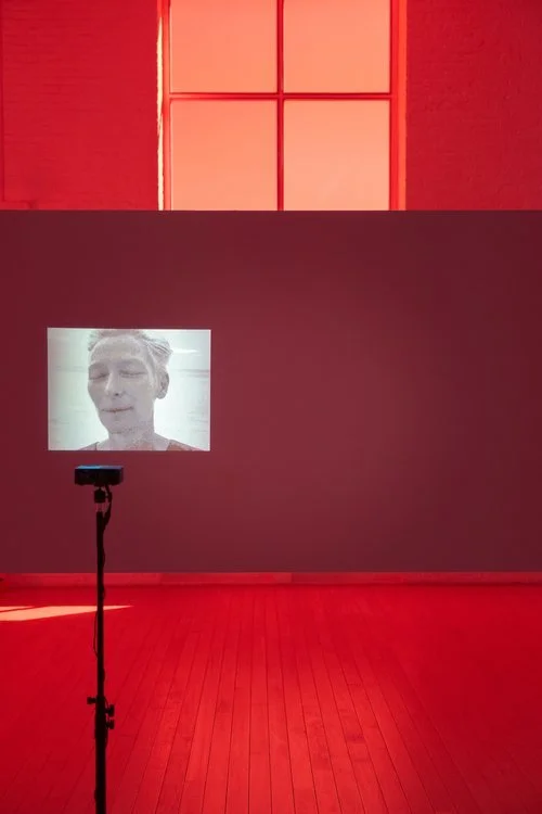 APICHATPONG | Producción de exposición