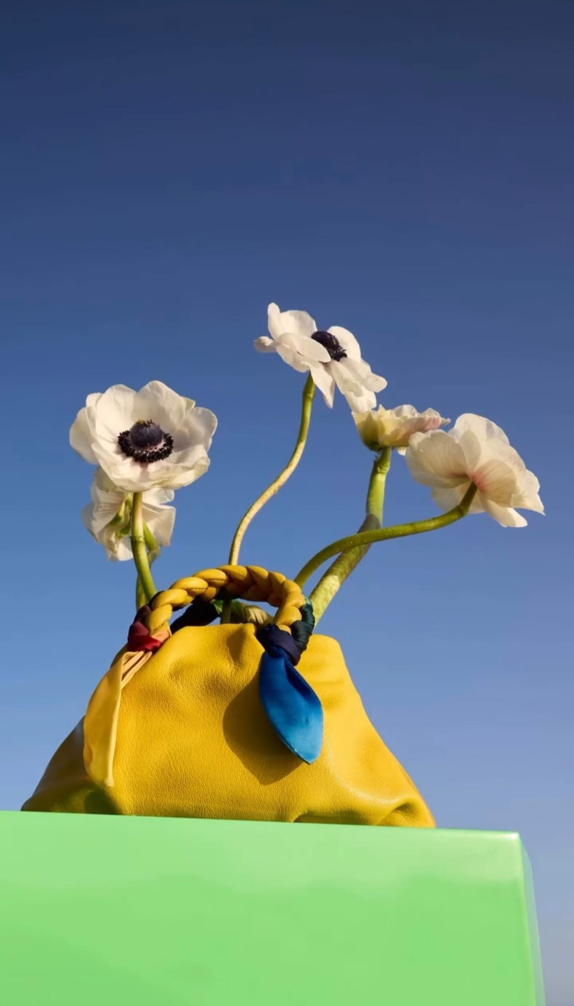Un ramo de flores blancas en una bolsa amarilla con un lazo azul, sobre una mesa verde, con cielo azul de fondo.