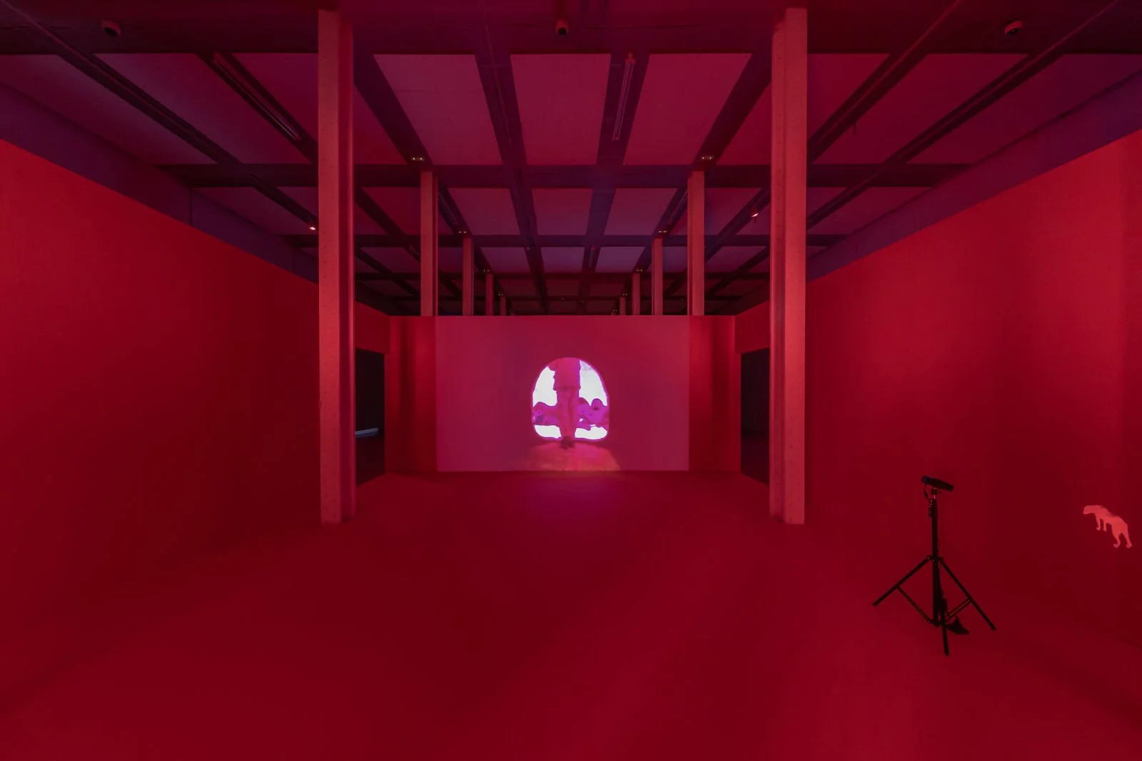 APICHATPONG_WEERASETHKUL_150dpi_002.jpg