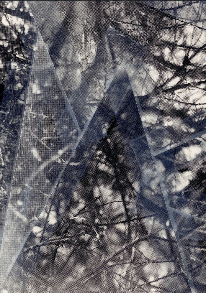 {788F3E3F-9C43-4A17-87AF-186BCA49D41E}.png