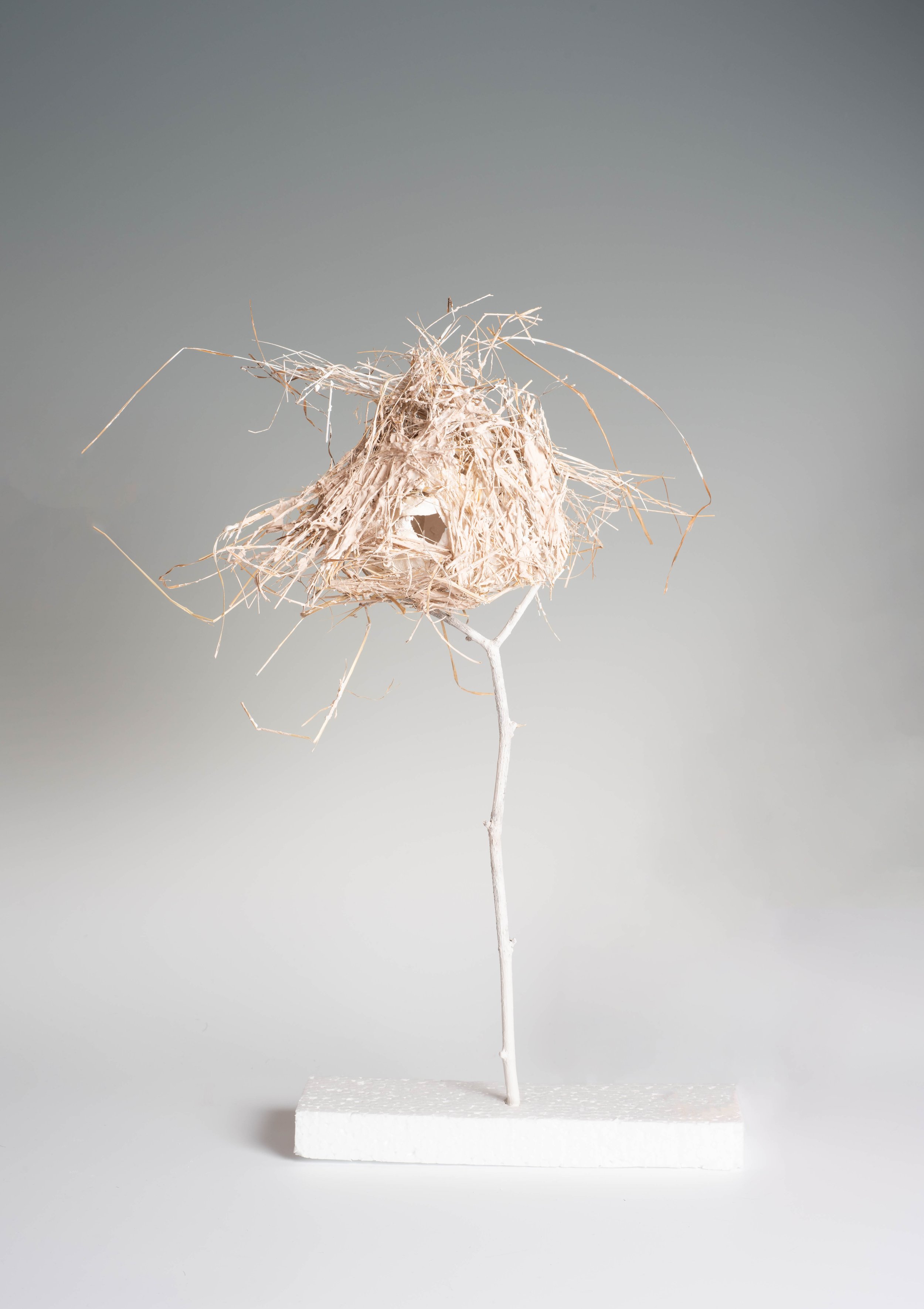 Attempt at Home #12 Martha Orbach.jpg