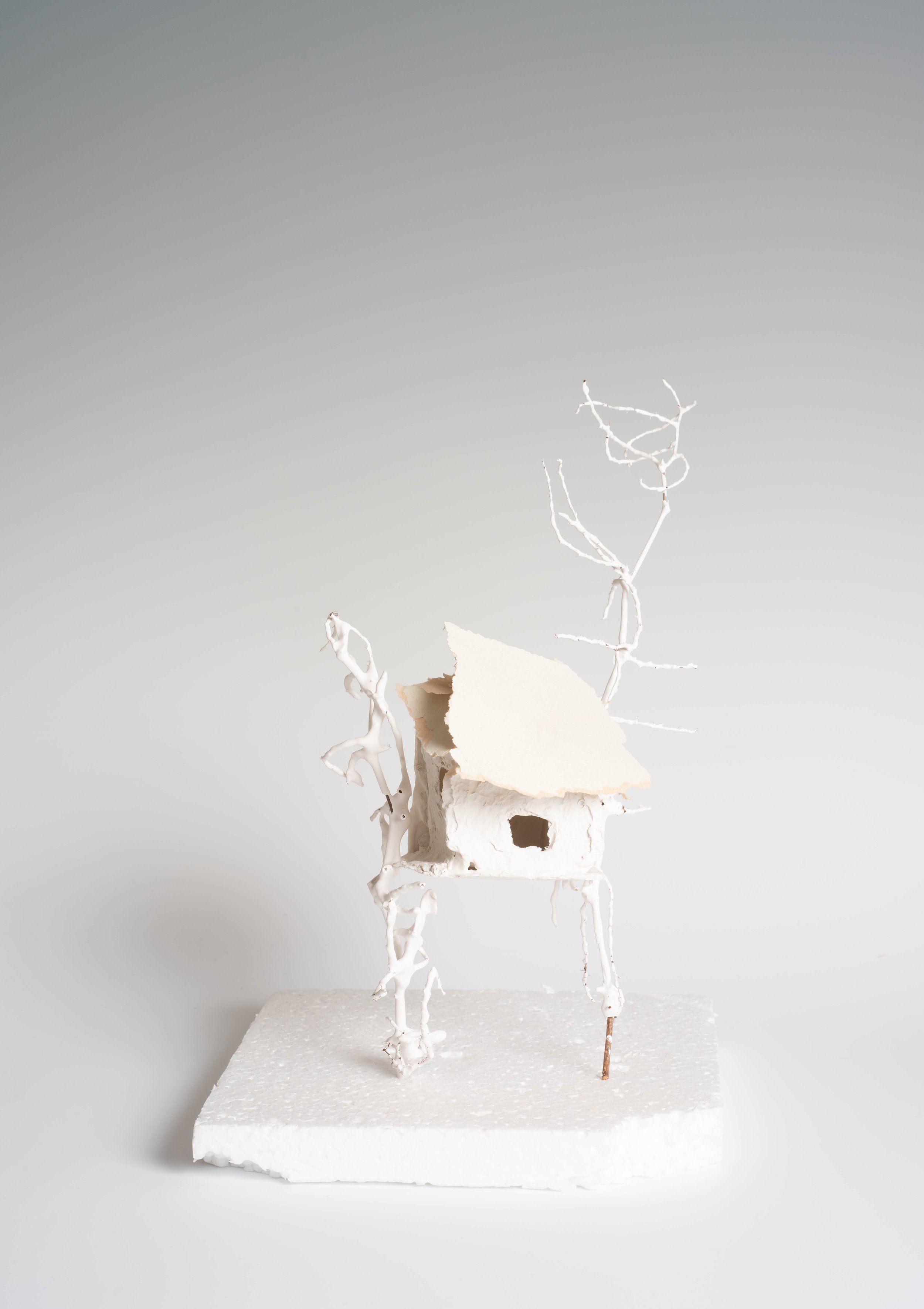 Attempt at Home #10 Martha Orbach.jpg