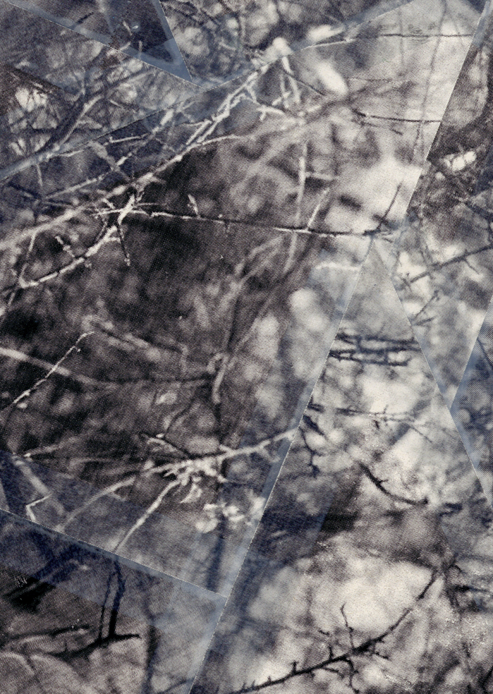 {38175E7B-C485-43BA-9B63-A55C21D5F5E5}.png