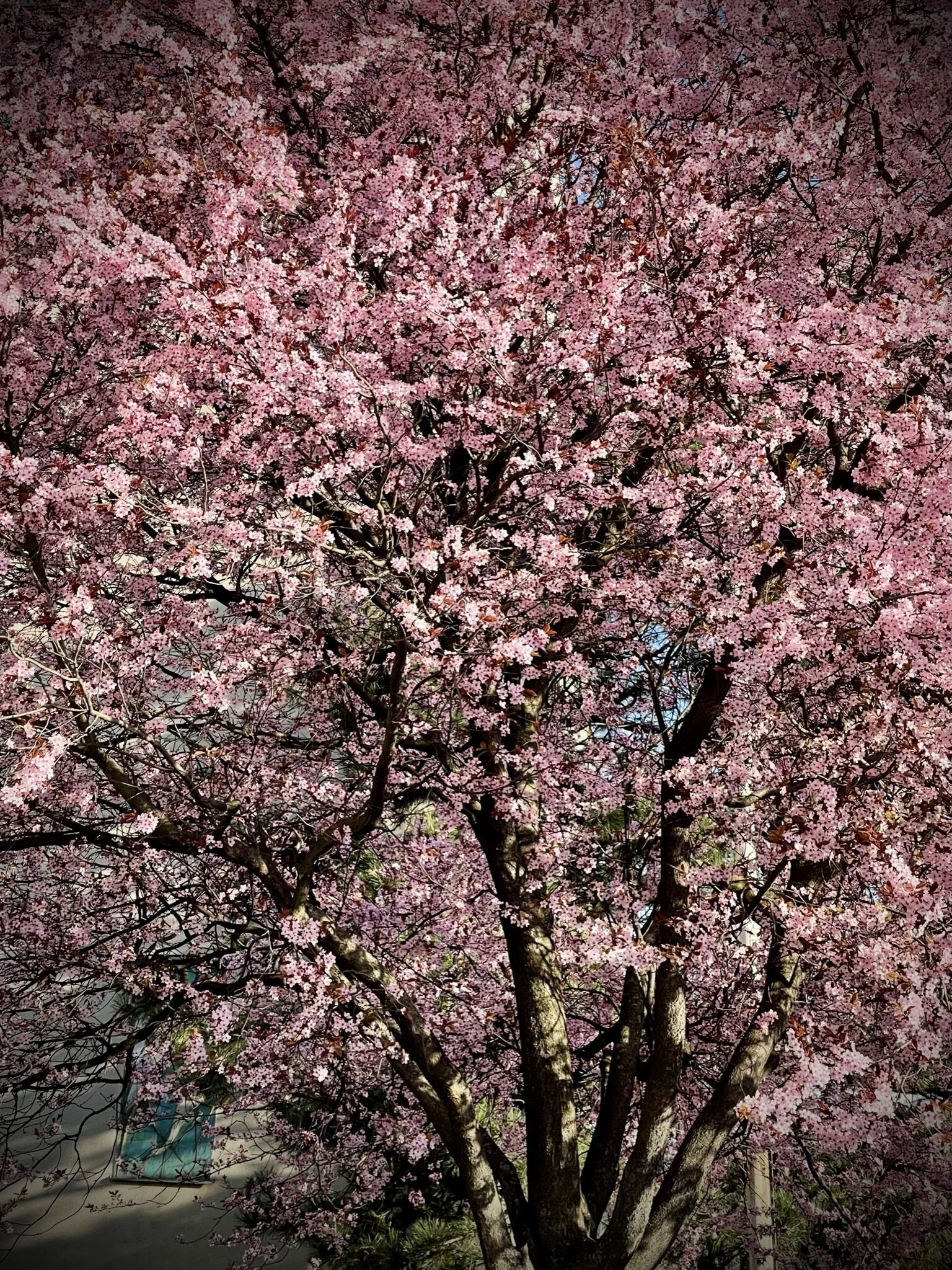 # 18 Kunsttherapie und das Erwachen