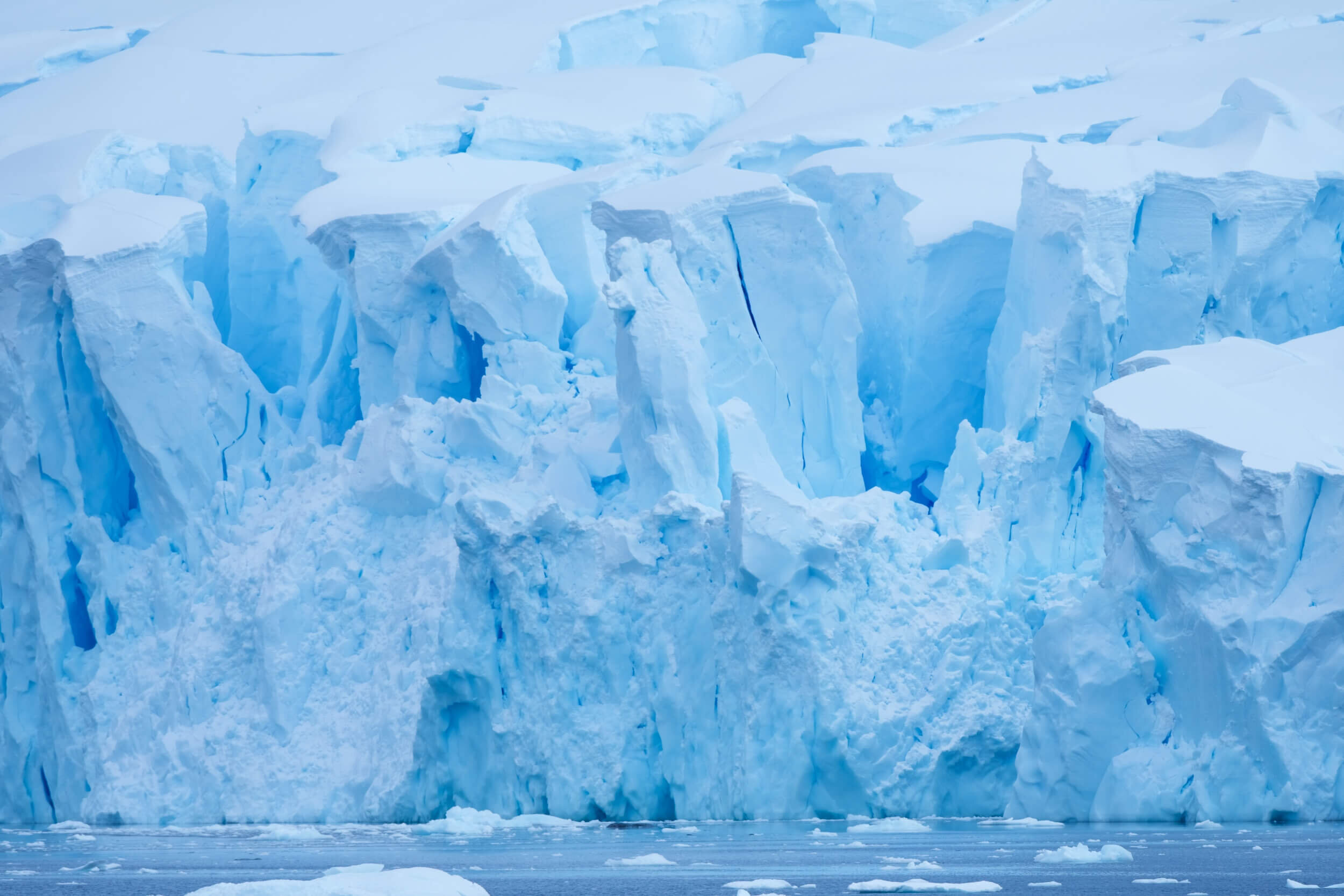 FRENTE GLACIAR