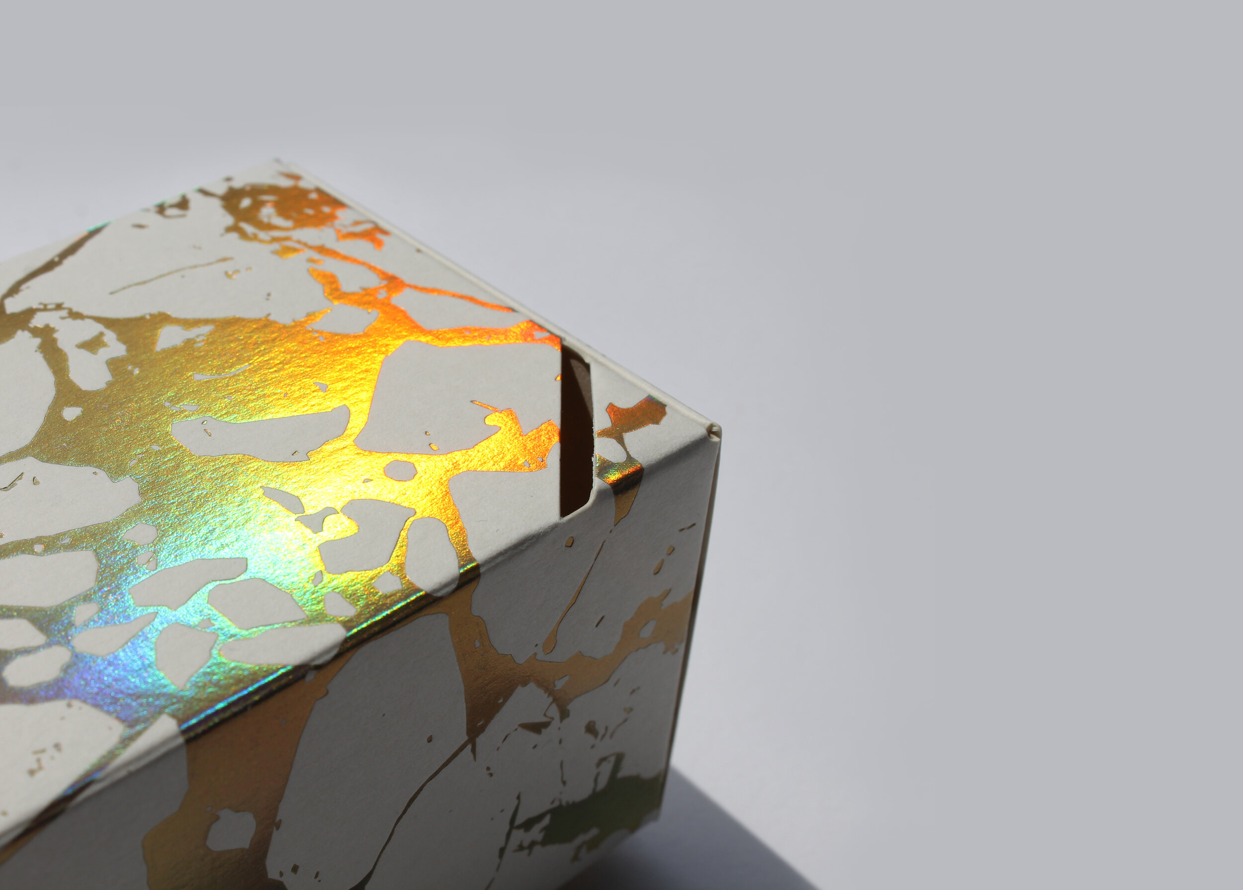 web background2.jpg