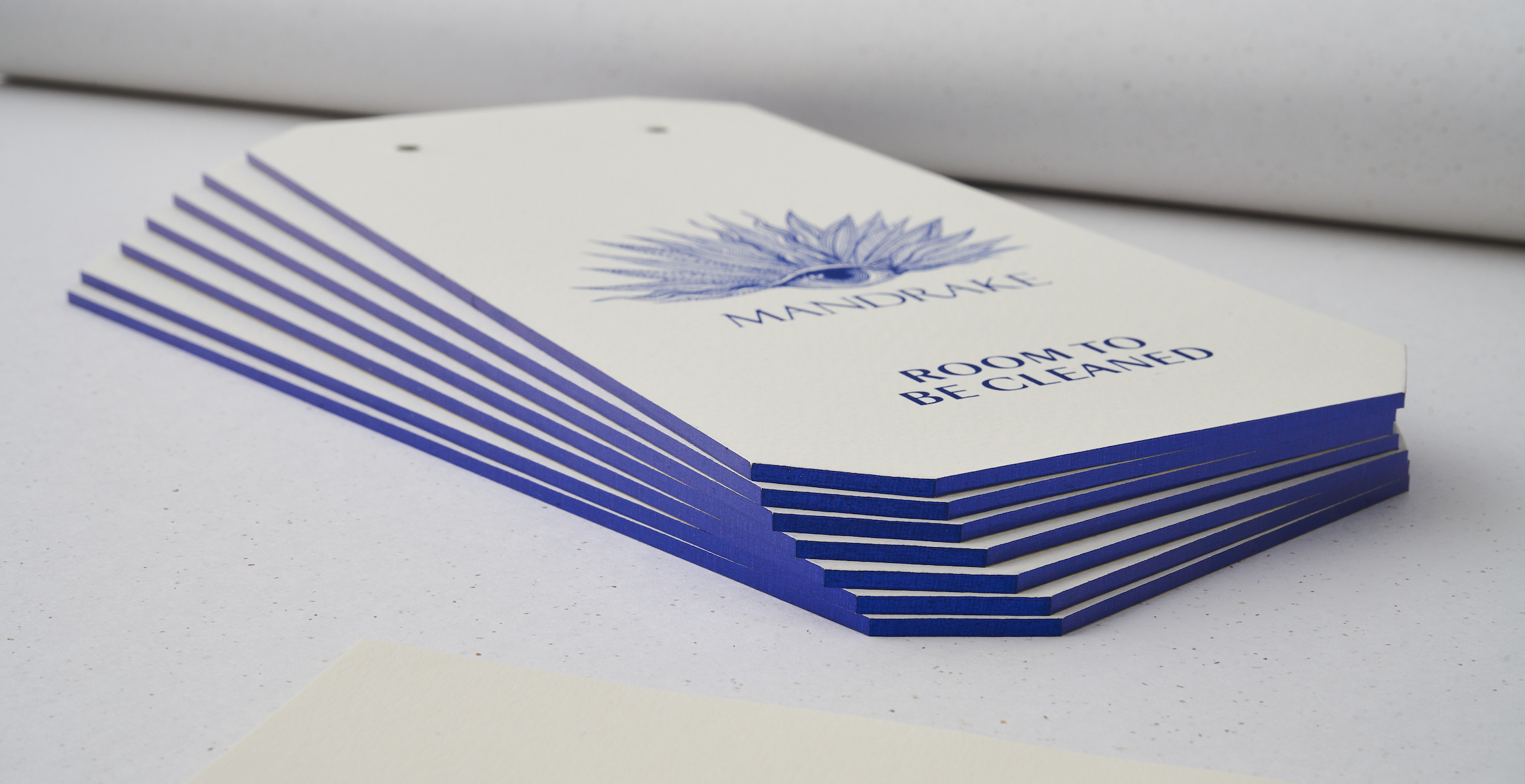 Blue Foil Edge Cards.png
