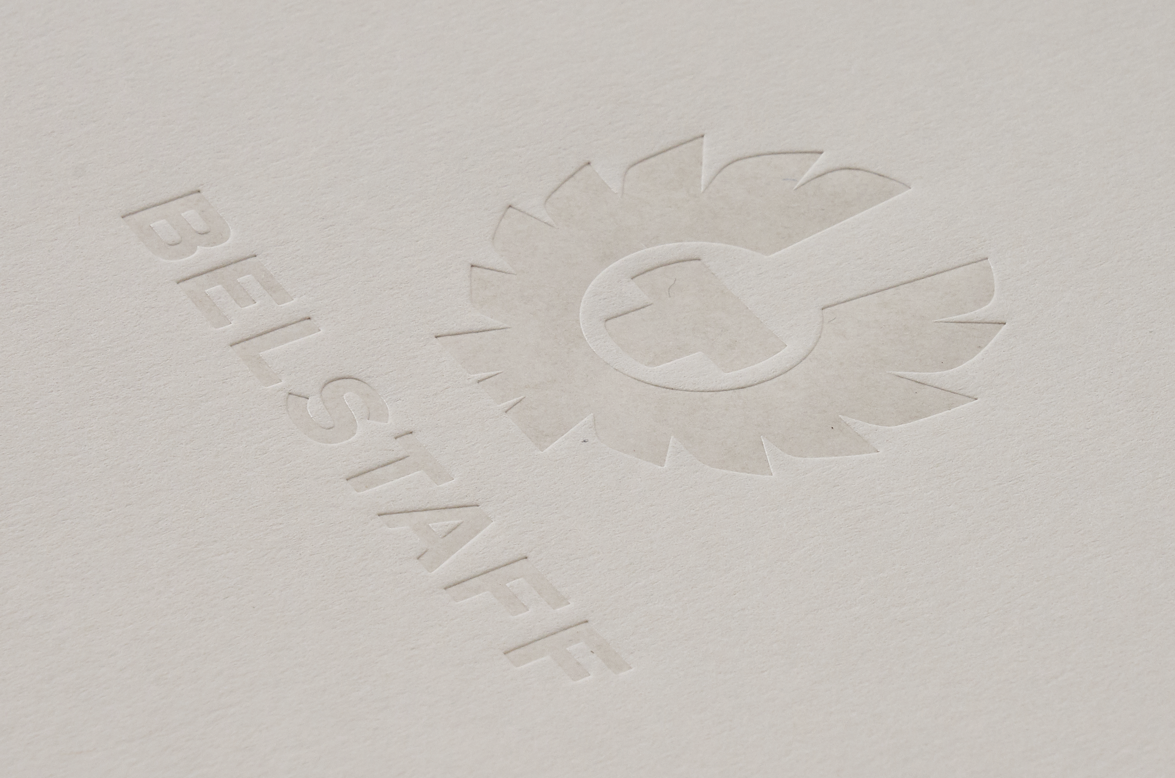 Foiled Colorplan Mist Brochure Cover.png