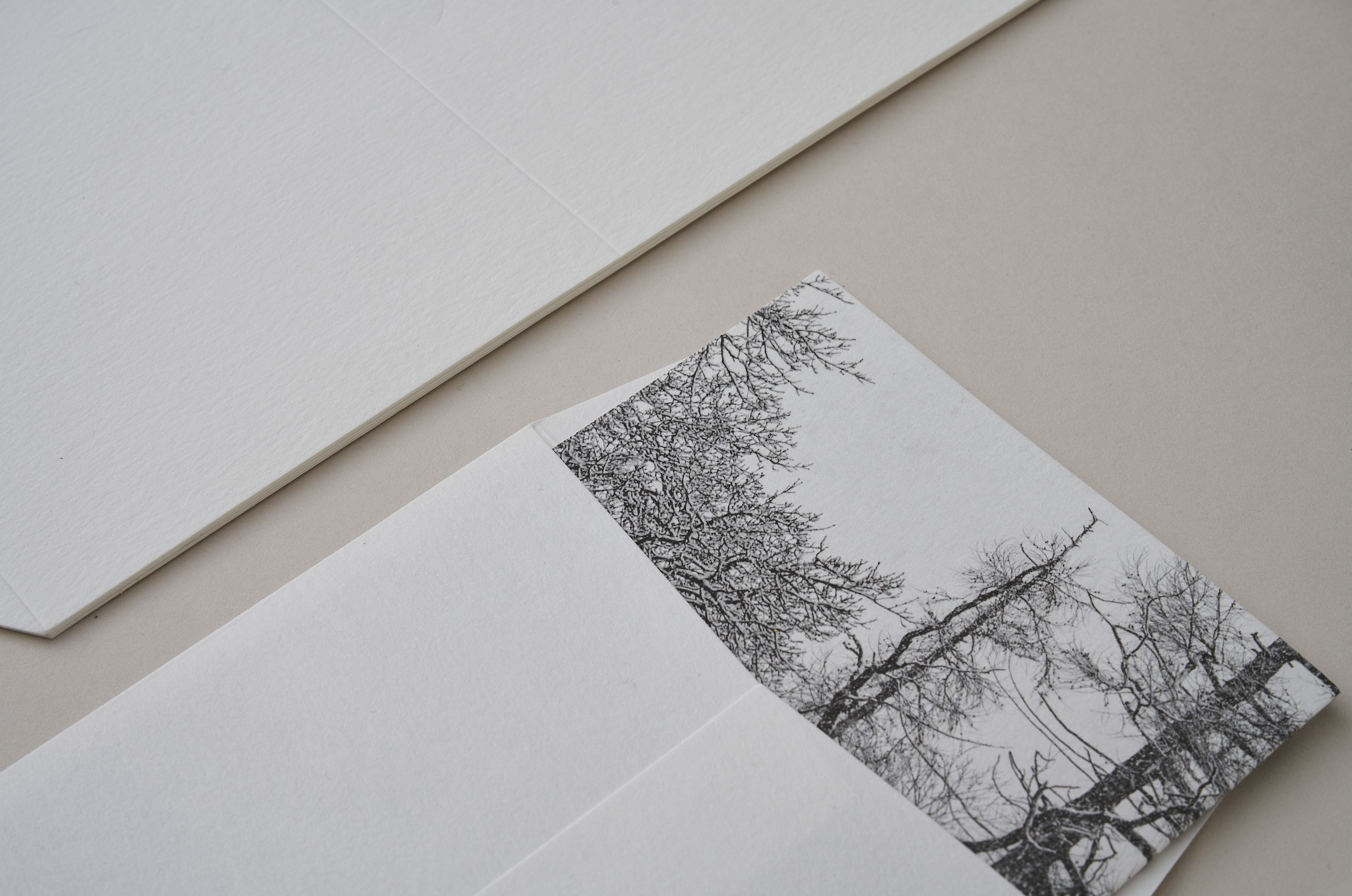 AVENUE LITHO.png