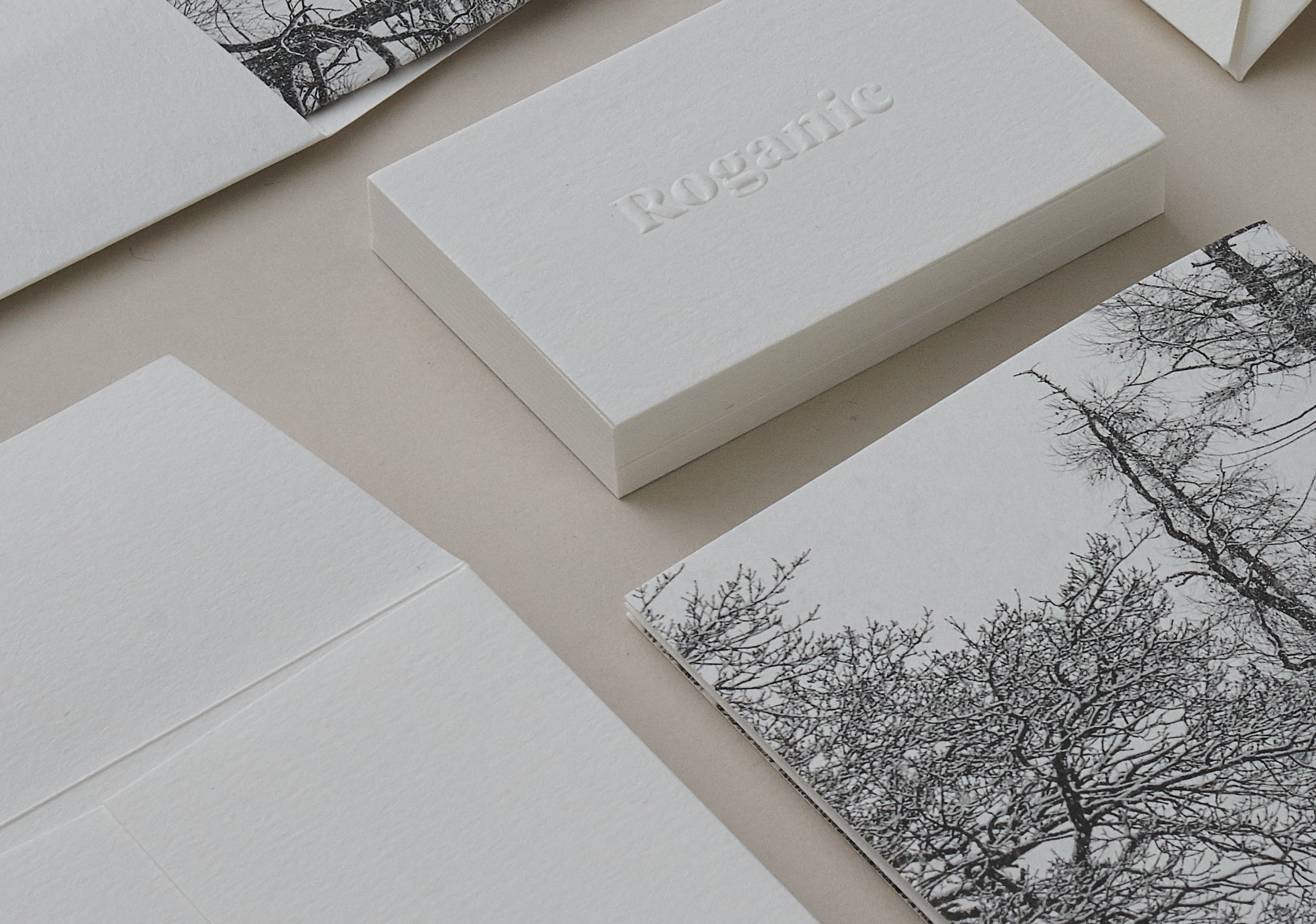 Embossed Stationery Set for Roganic Restaurant.png