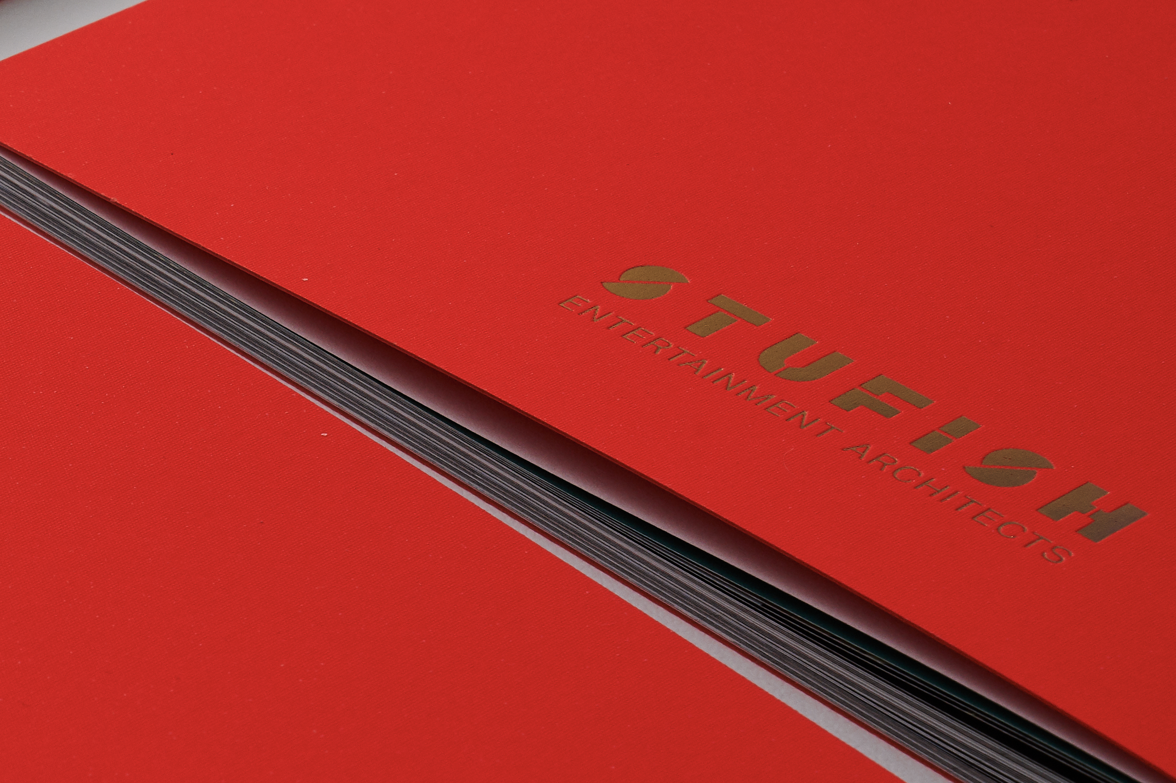 Neon Brochure Cover with Gold Foil Logo.png