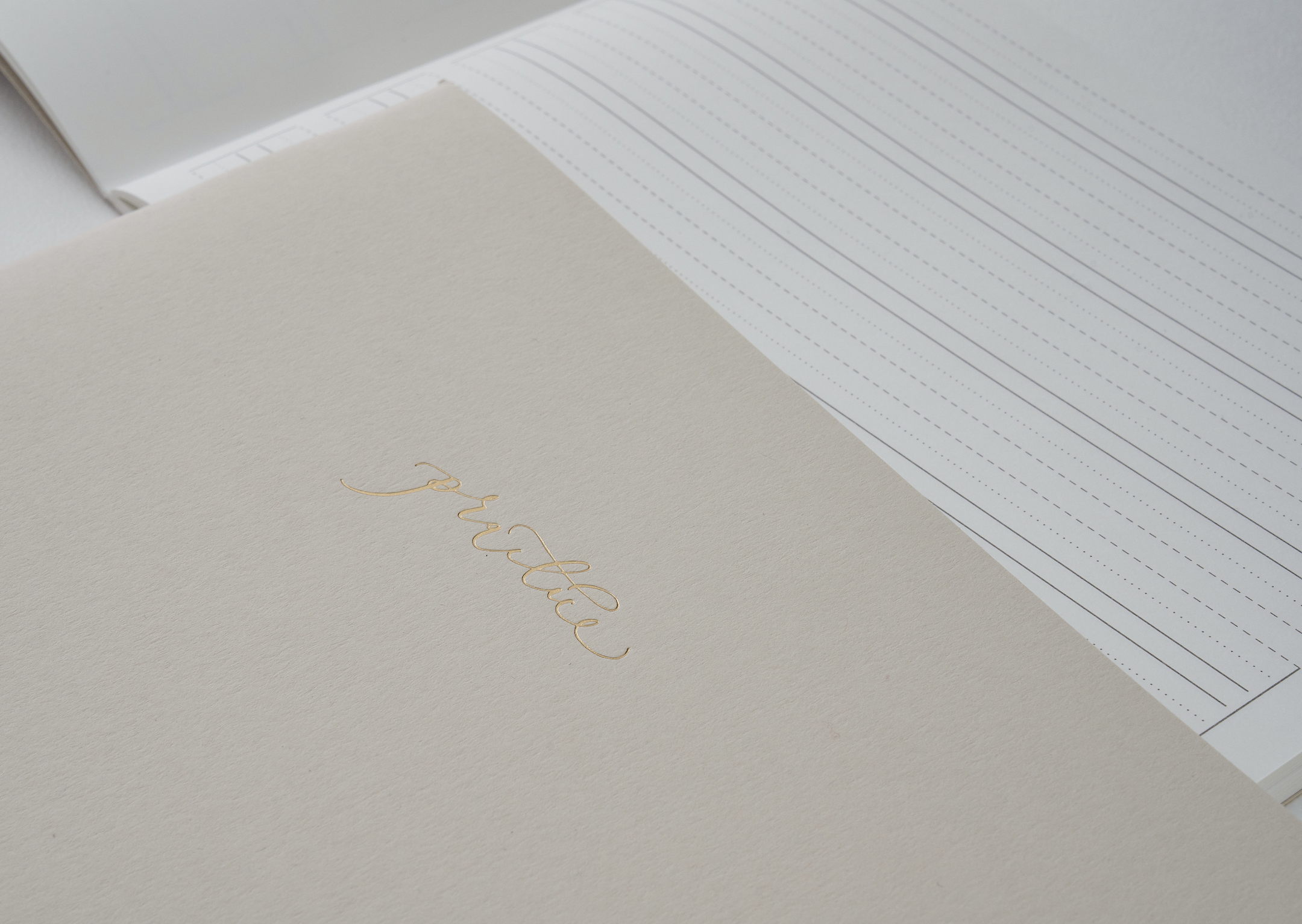 Luxury Notebook with Gold Foil and Gold Staples.png