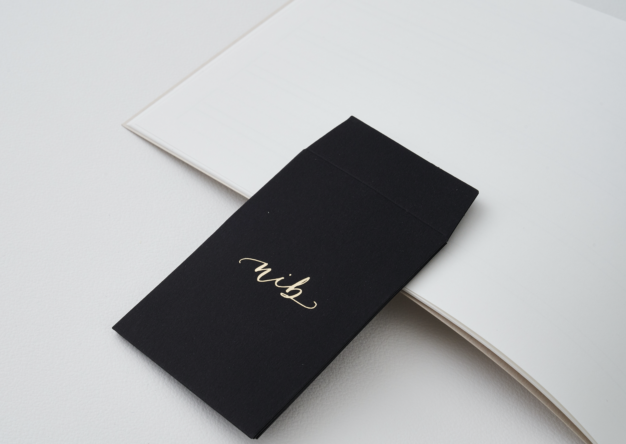 Gold Foil Nib Pouch.png