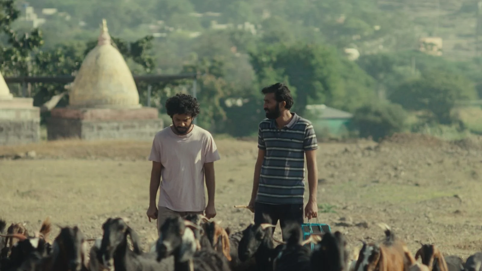 SUNDANCE GRAND JURY PRIZE WINNER “CACTUS PEARS” SET FOR UK/IRELAND THEATRICAL