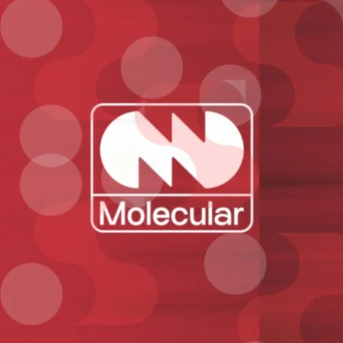 Logo 500x500 px-3.jpeg