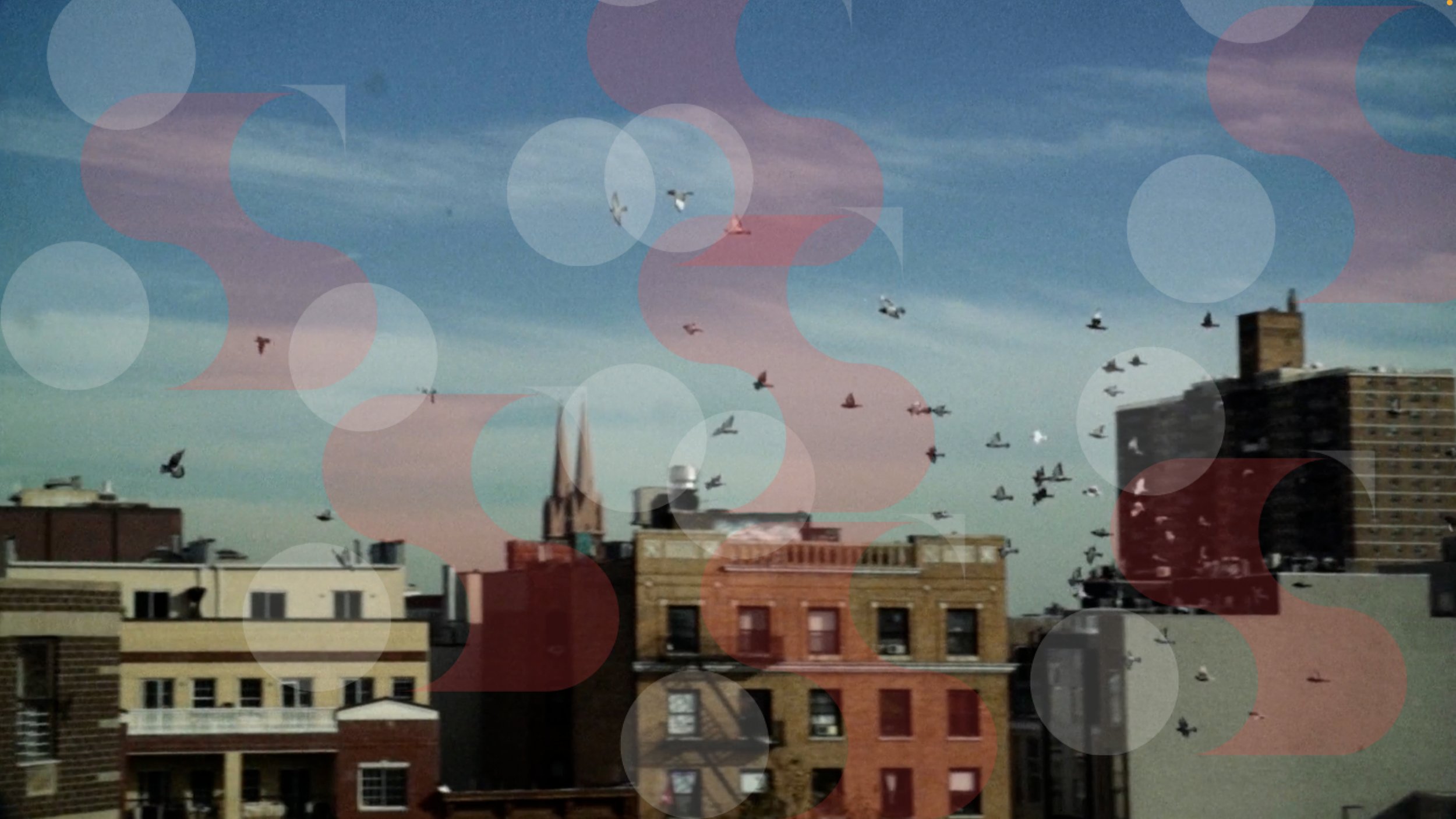 Speakman Sound: LIMBIC (Official Visual E.P)