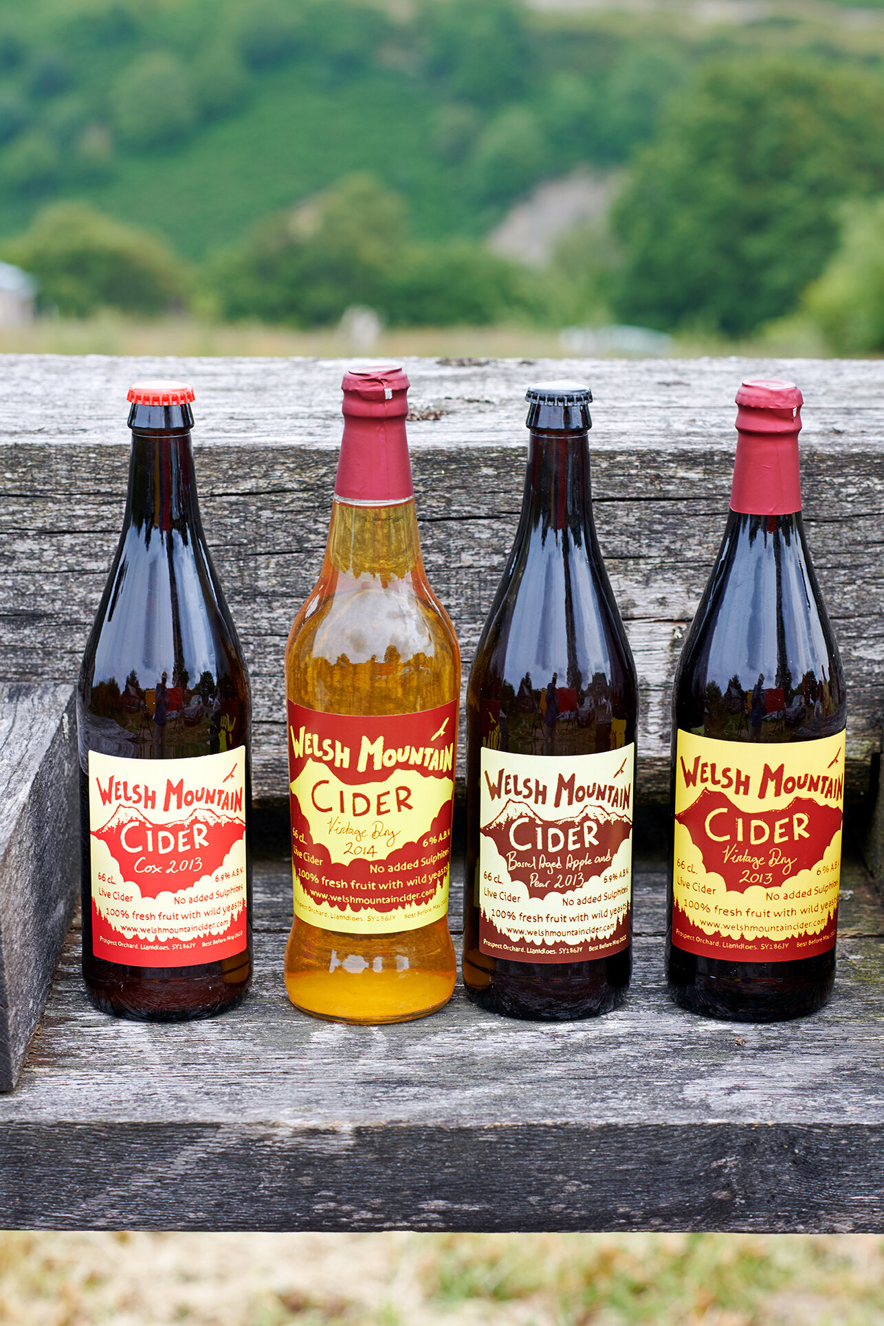 Our Ciders — Welsh Mountain Cider