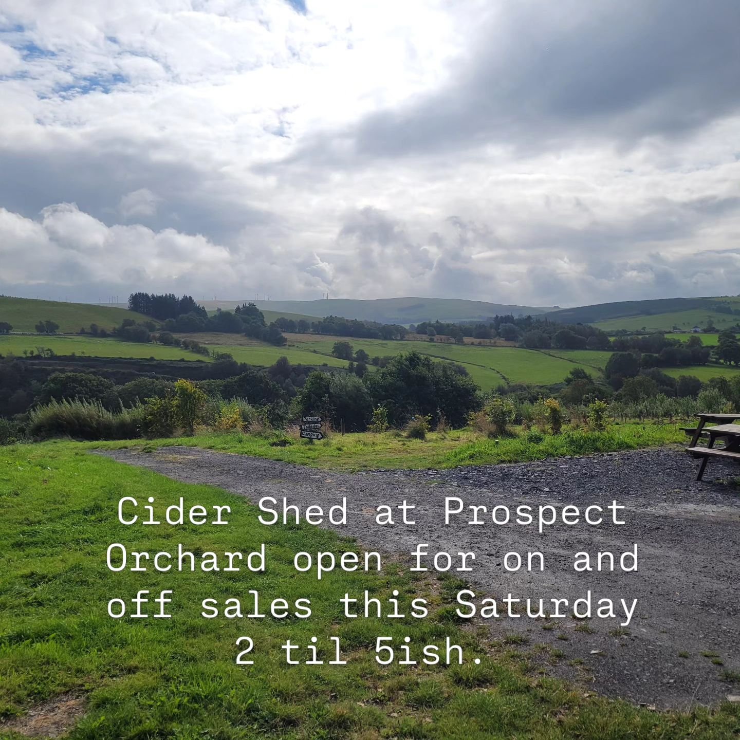 Cider Shed at Prospect Orchard open for on and off sales this Saturday  2 til 5ish. Orchard tour &amp; tasting available if there's the demand. We'll have a bit of music, too, if our pals turn up with some instruments! Come one, come all, come woolly