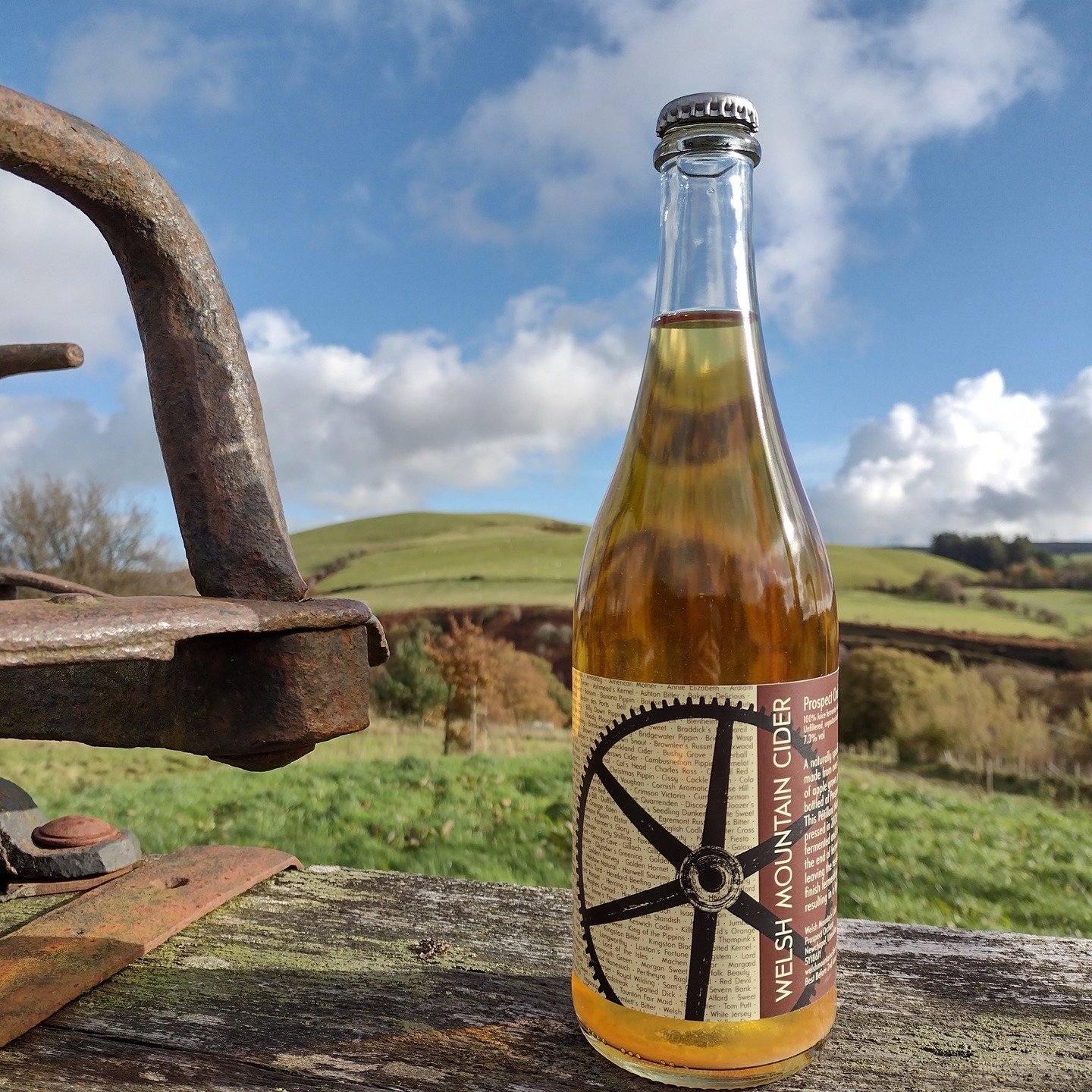 Remember our Prospect 2020? A late season pressing from our museum orchard of over 300 varieties of apple grown at 1150 feet in the Cambrian Mountains. 

We're releasing the final cases in February - available to cider club members only, included in 