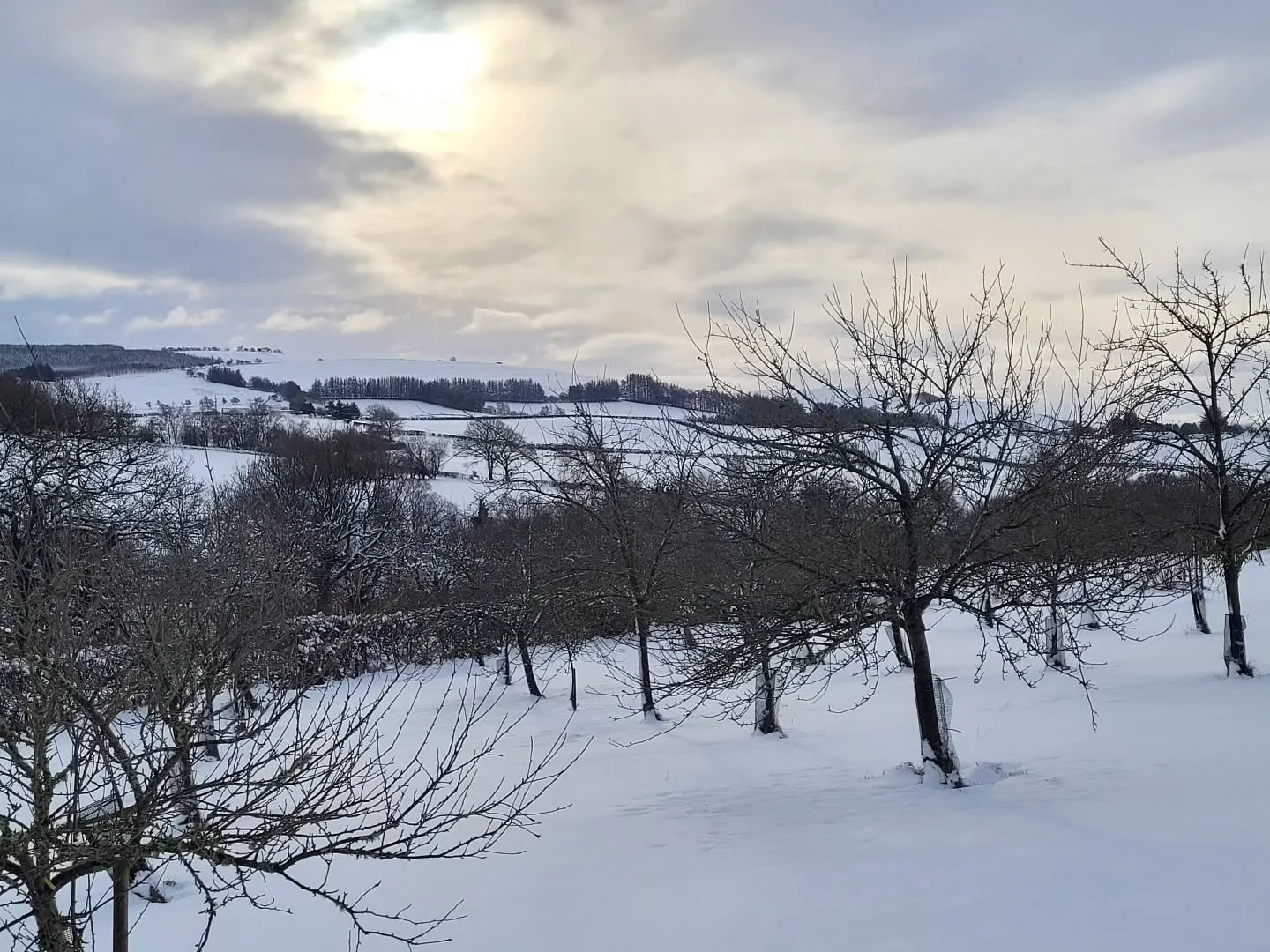 Snow day at Prospect Orchard!