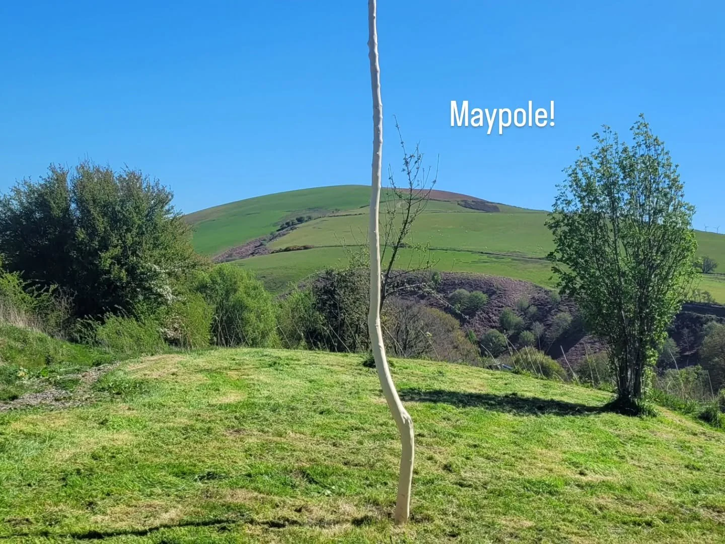 WELSH MOUNTAIN CIDER Saturday 2nd May, 11.00am to 11.00pm.

 It's Spring! Blossom is blooming, Cuckoos and swallows have arrived on schedule,  maypole is up, just awaiting ribbons and maidens ( ahem,  all comers welcome)! Bring a picnic or avail your