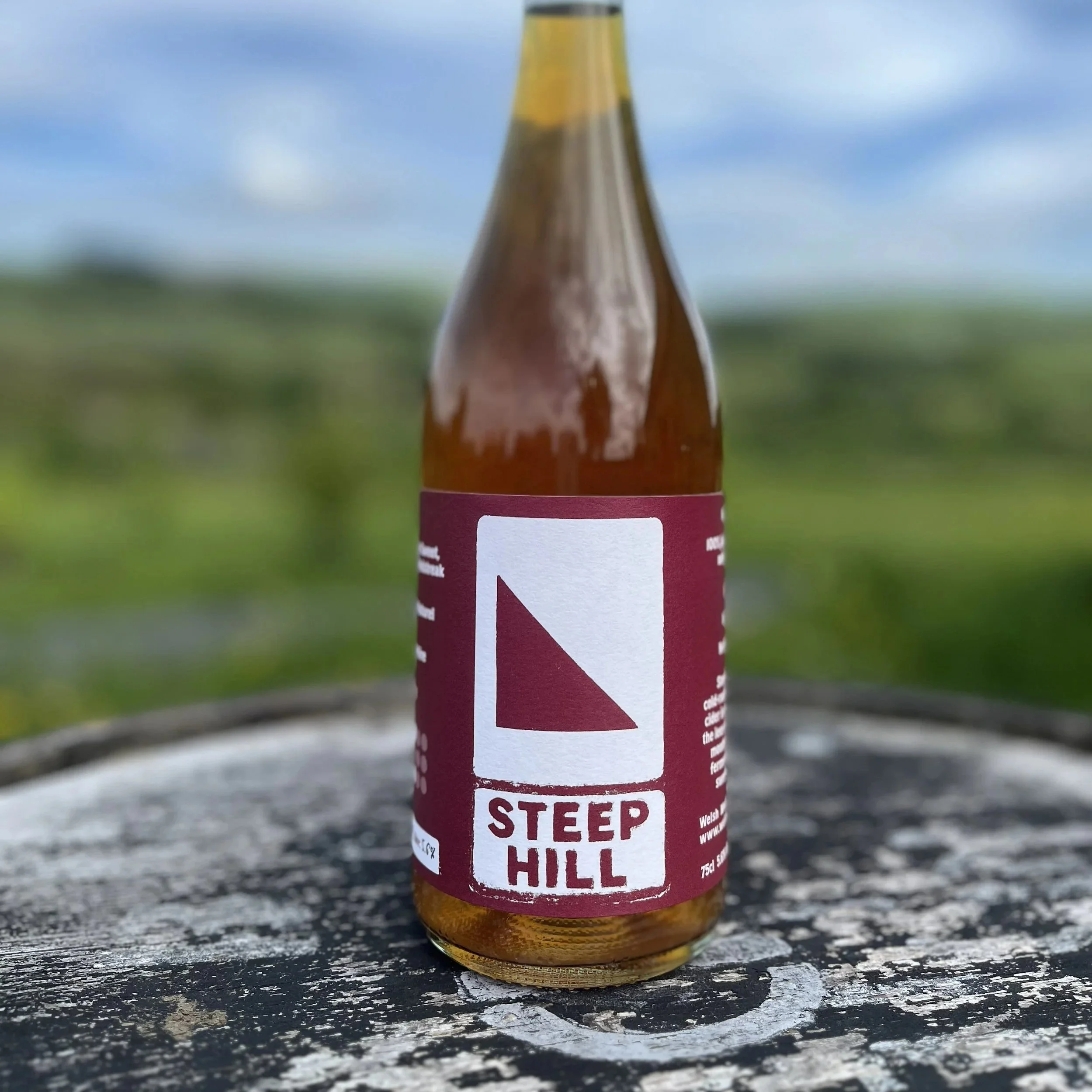 SteepHill1.jpg