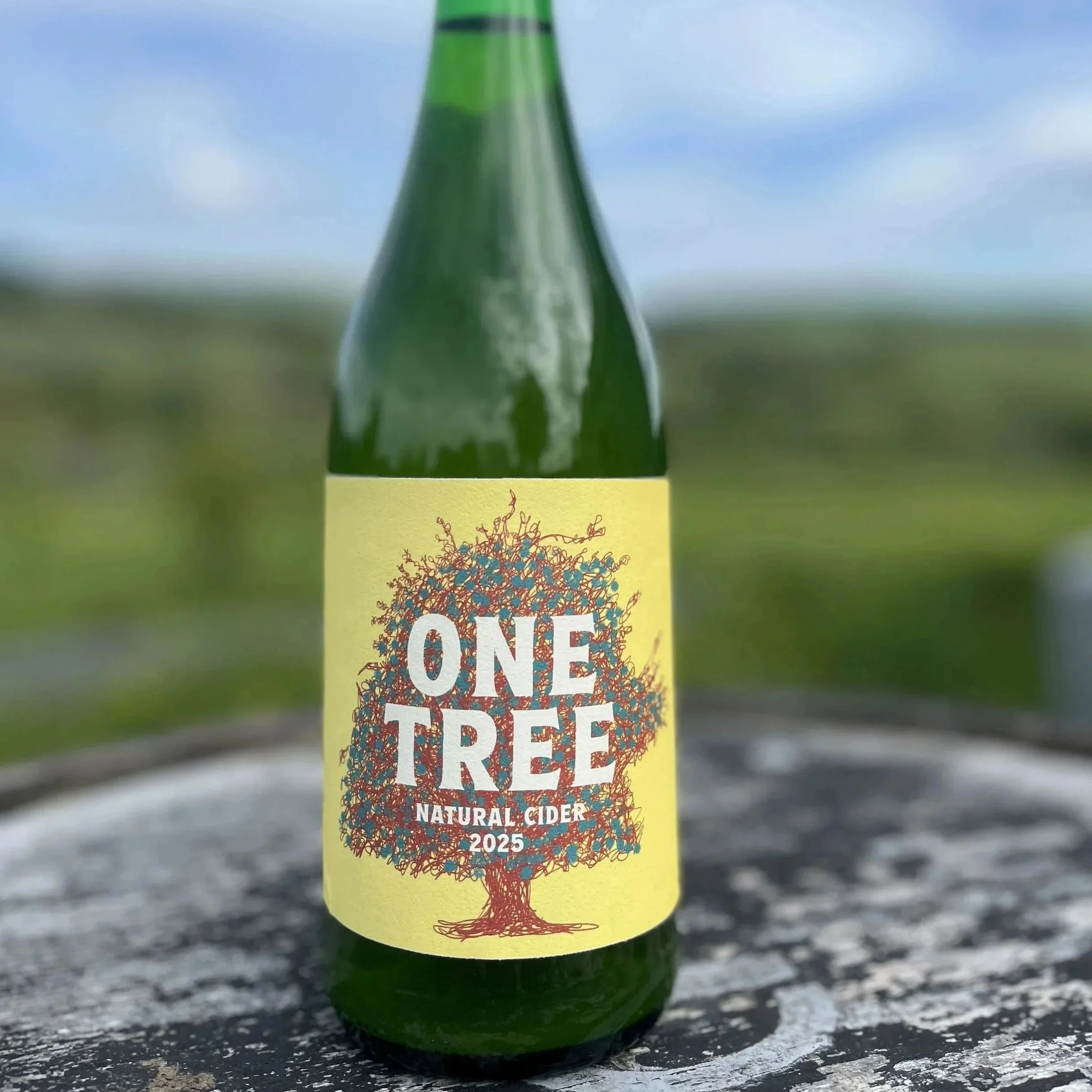OneTree.jpg