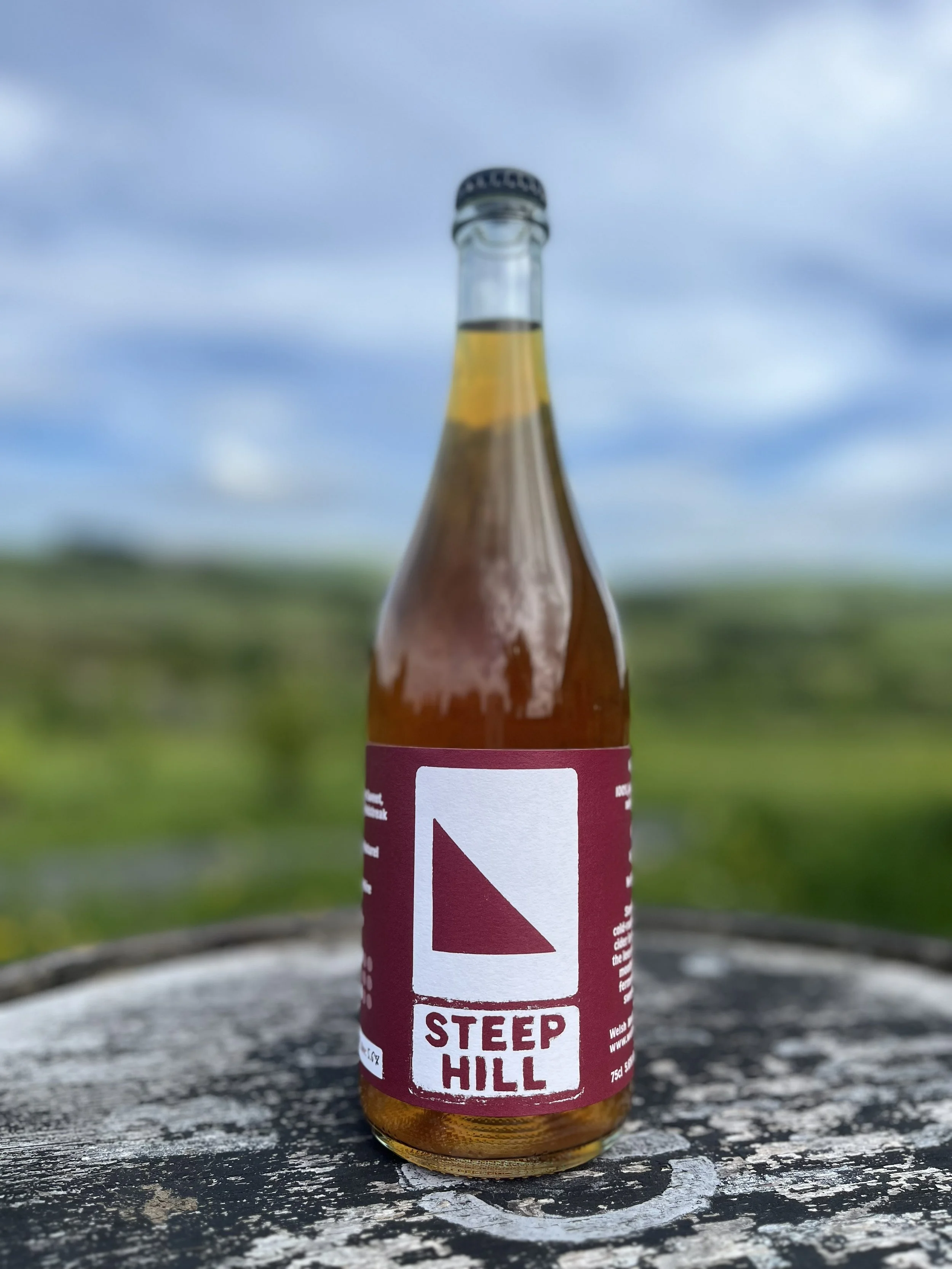 SteepHill1.jpg