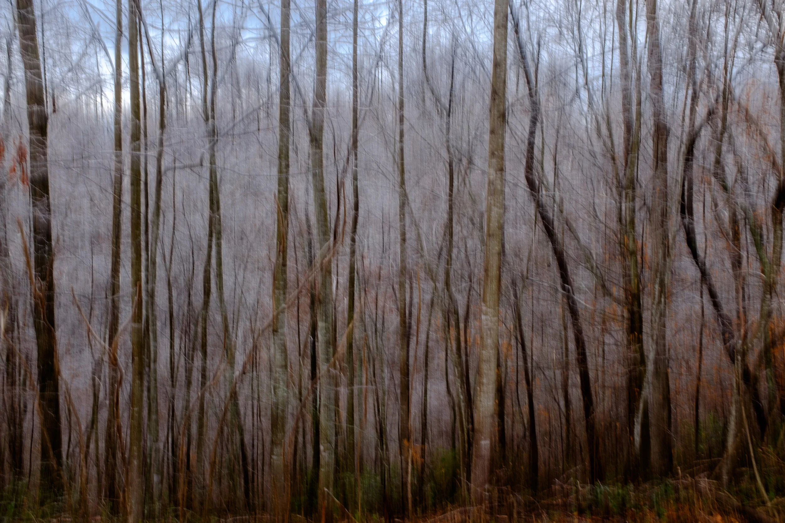 K1008324.jpg