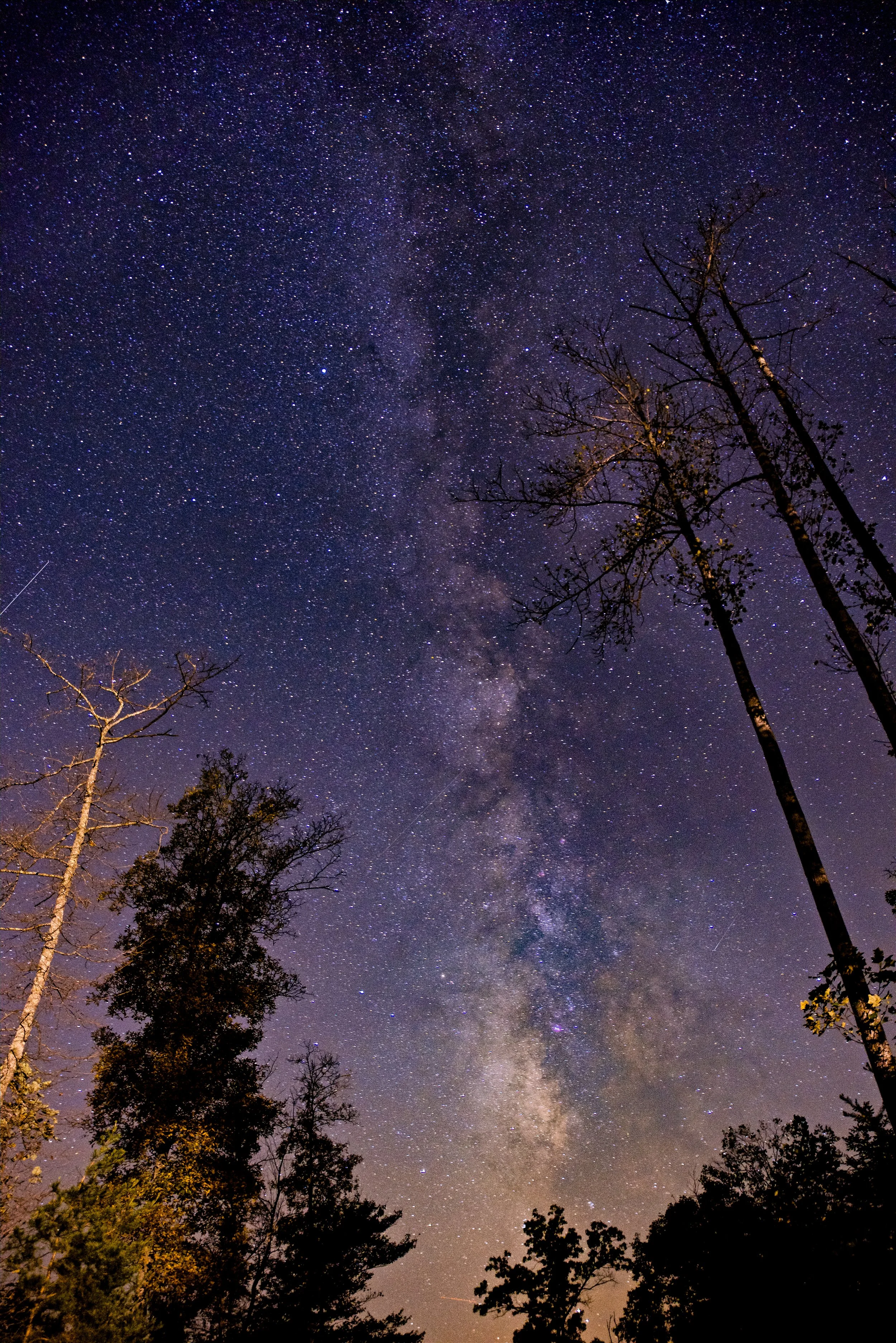 DSC_0258.jpg