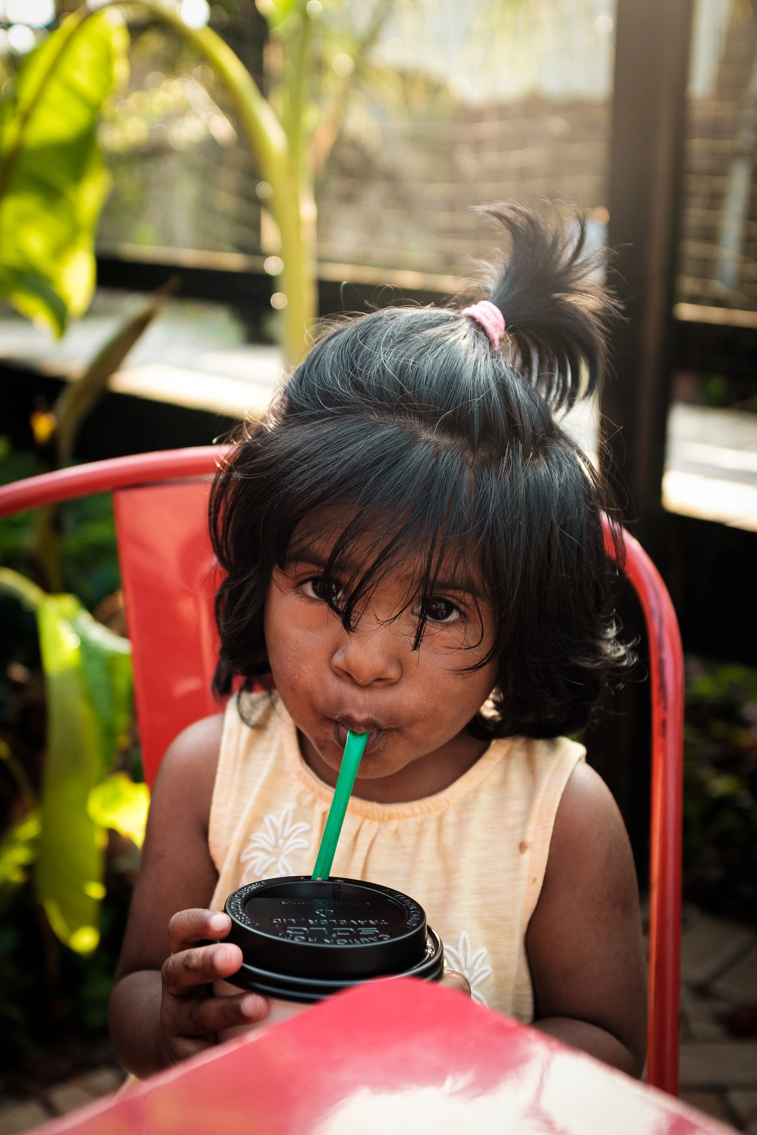 DSCF8252.jpg