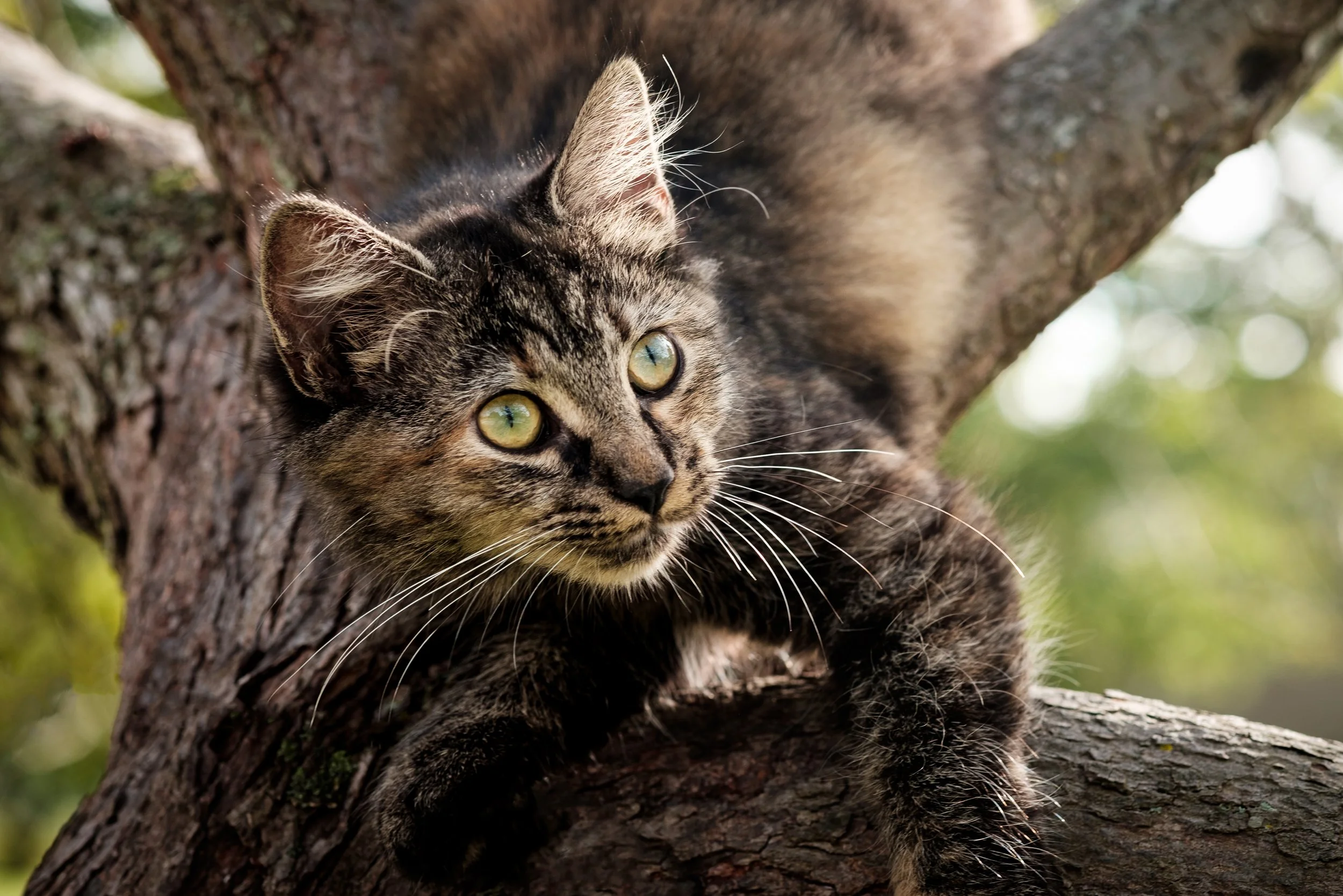 KXT14317-Edit.jpg