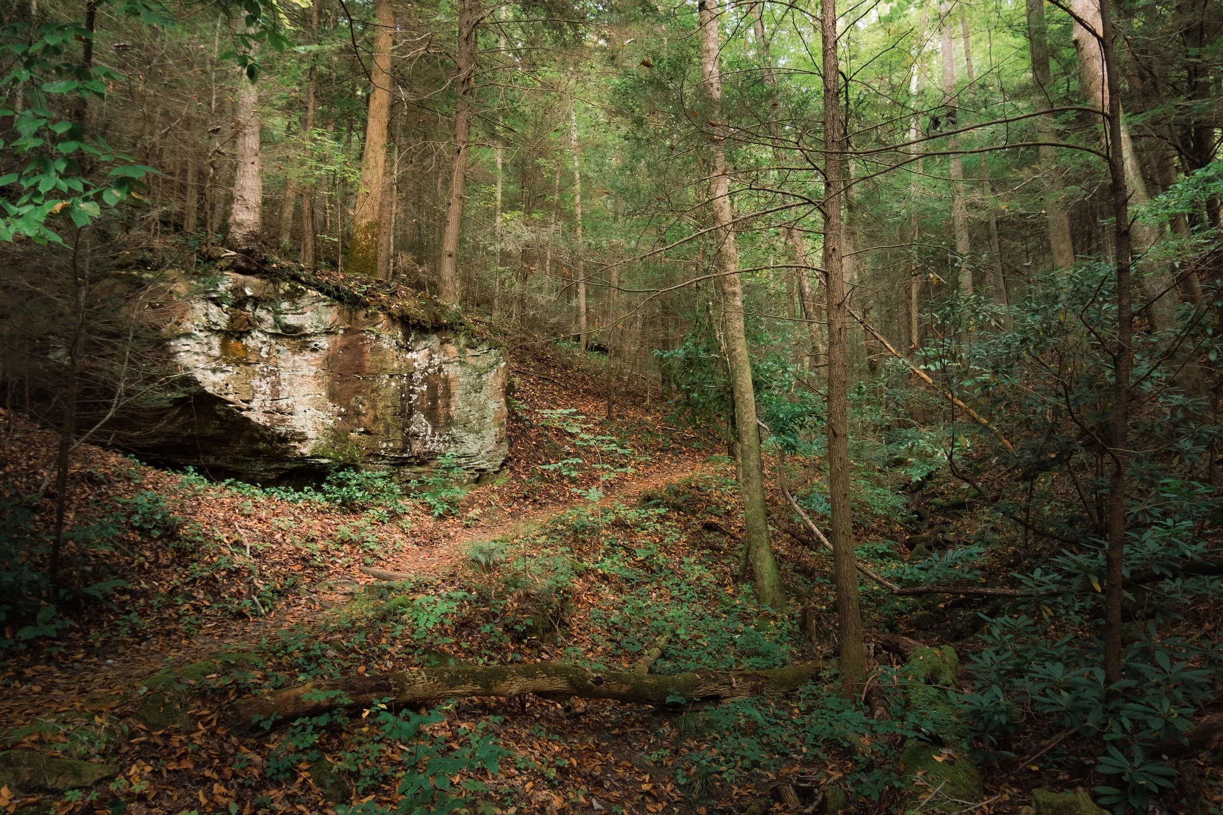 DSCF1433.jpg
