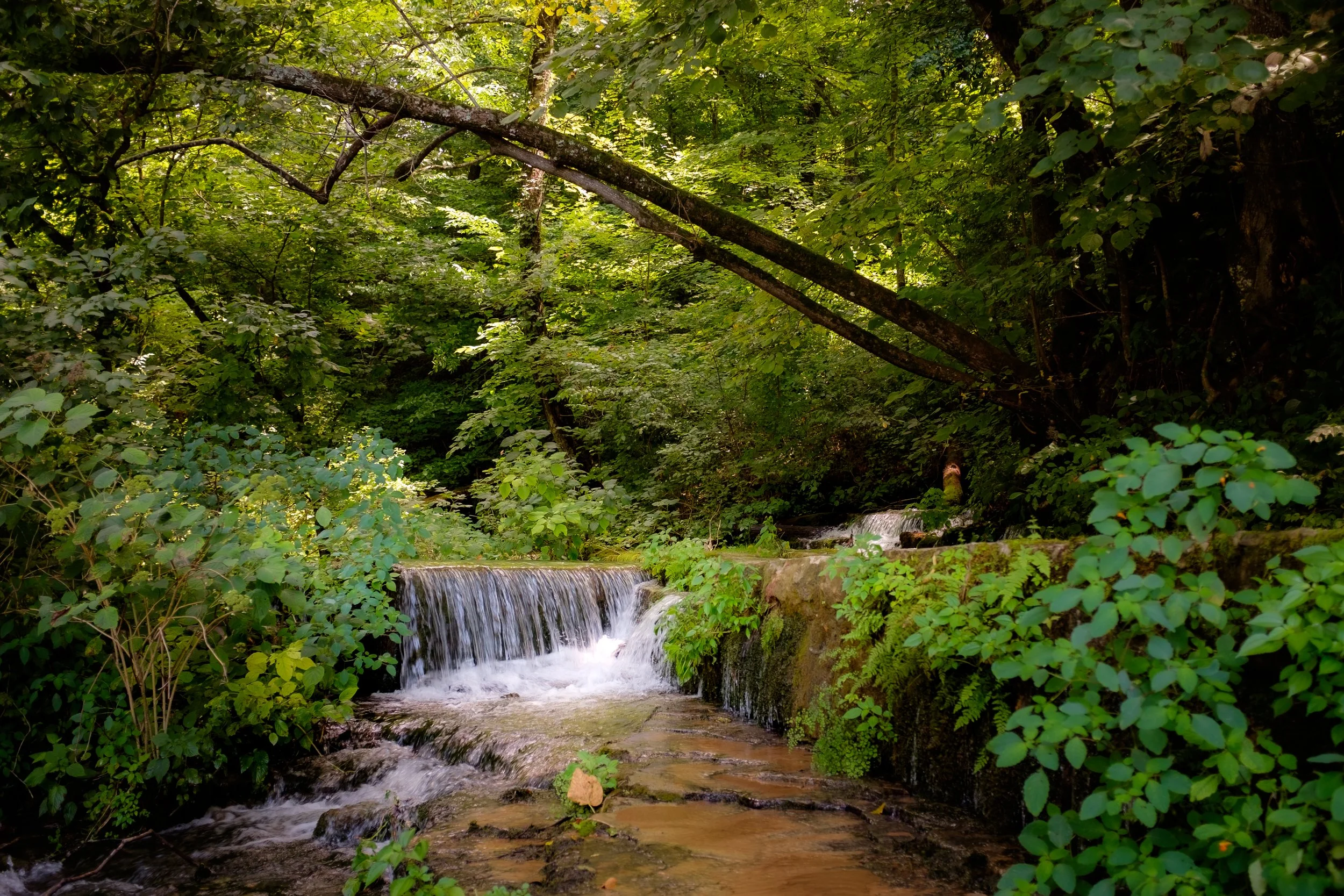 DSCF9545.jpg