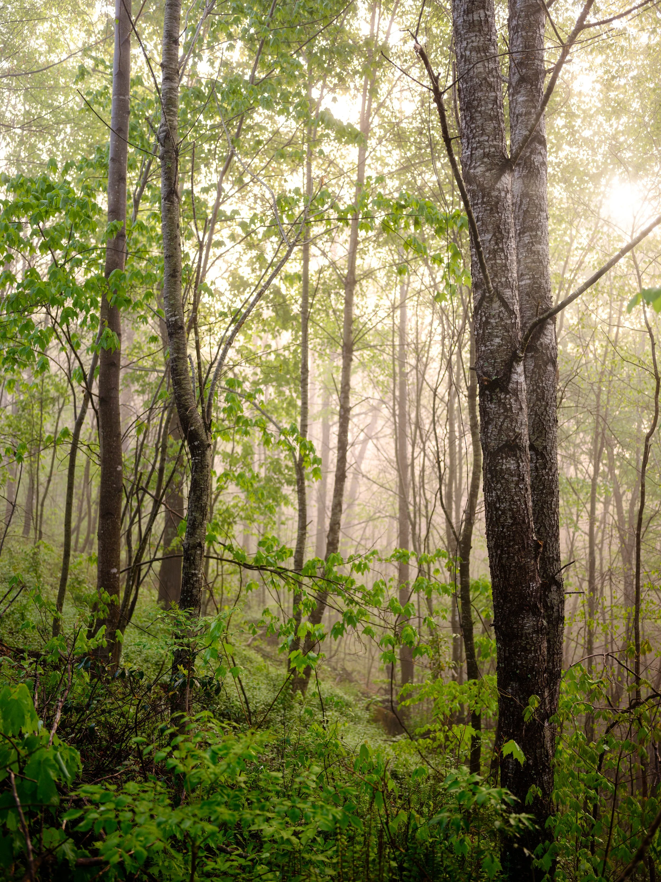 KGFX0397_Luminar4-edit.jpg