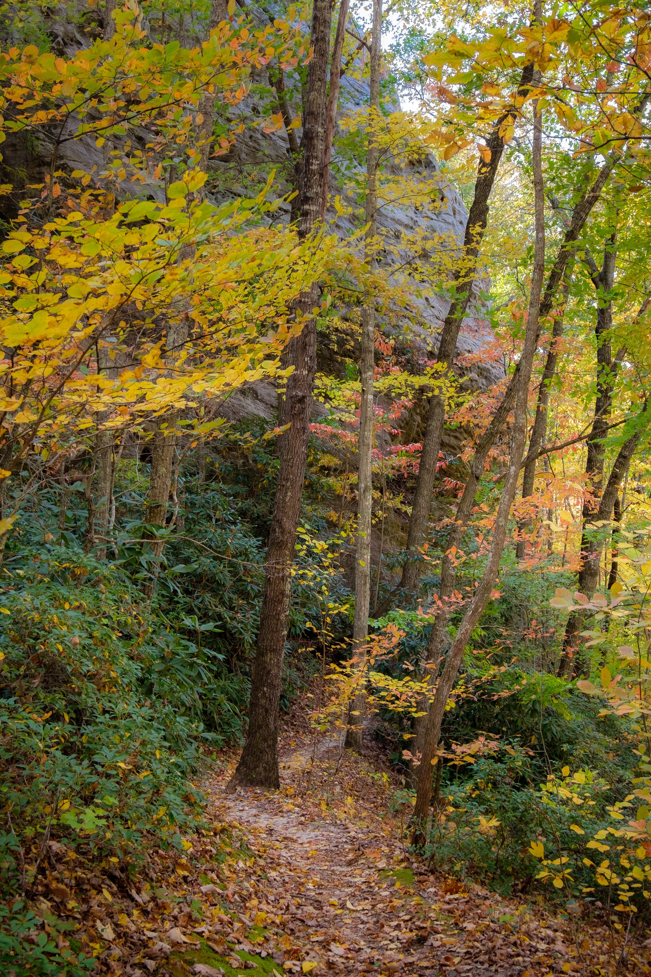 DSCF2534.jpg